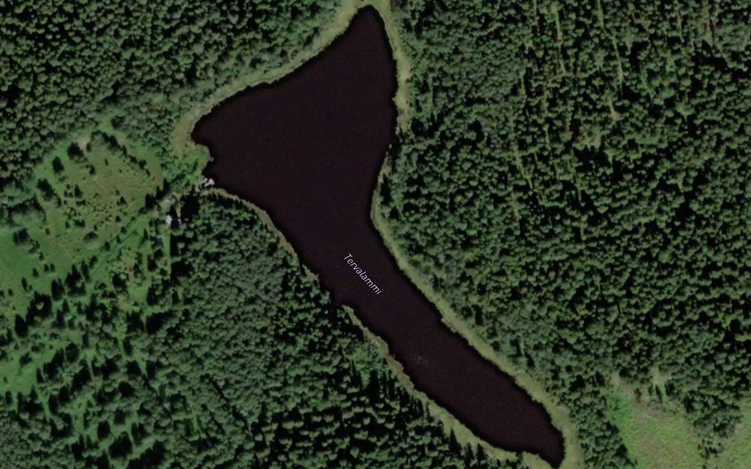 Tervalammi