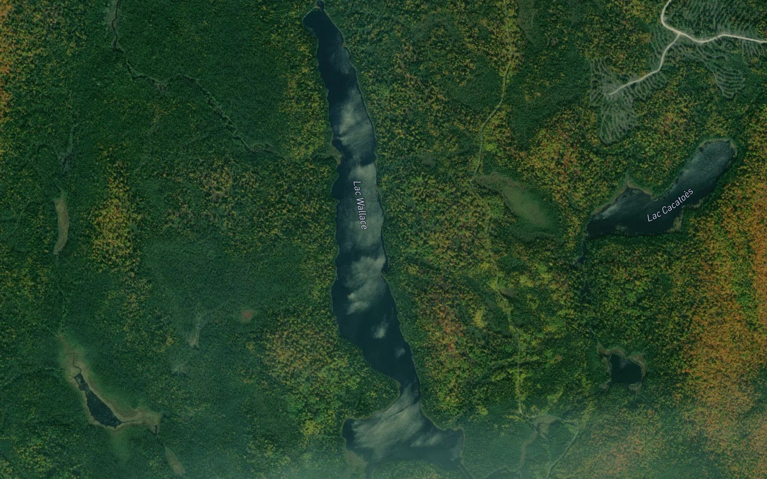 Lac Wallace