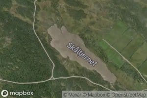 Skaltjernet