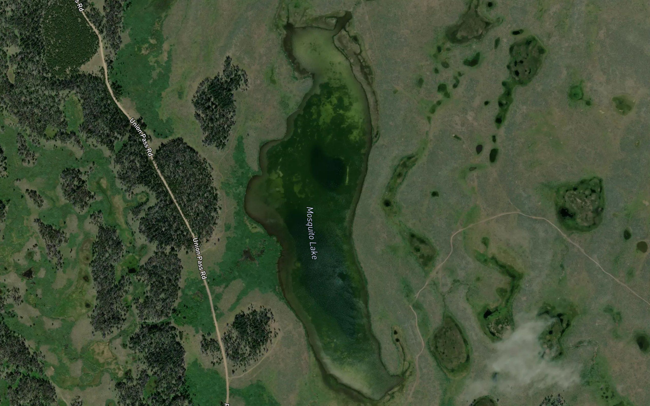 Mosquito Lake