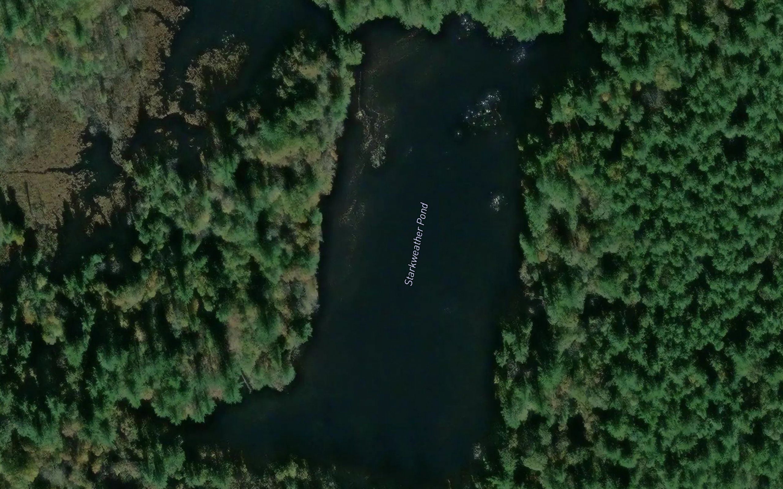 Starkweather Pond