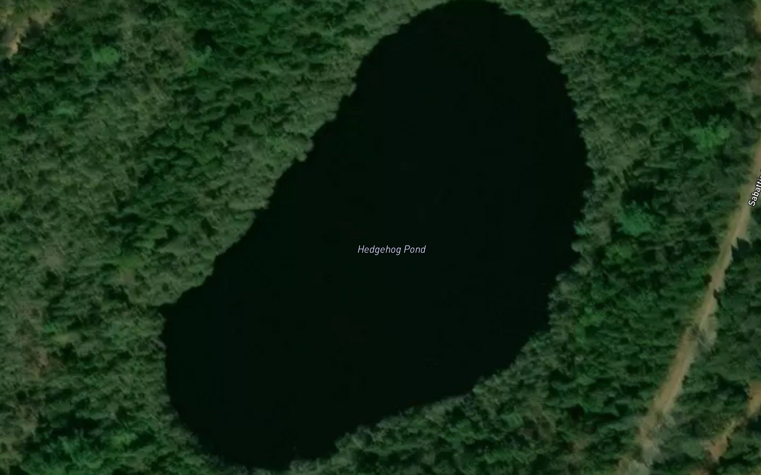 Hedgehog Pond