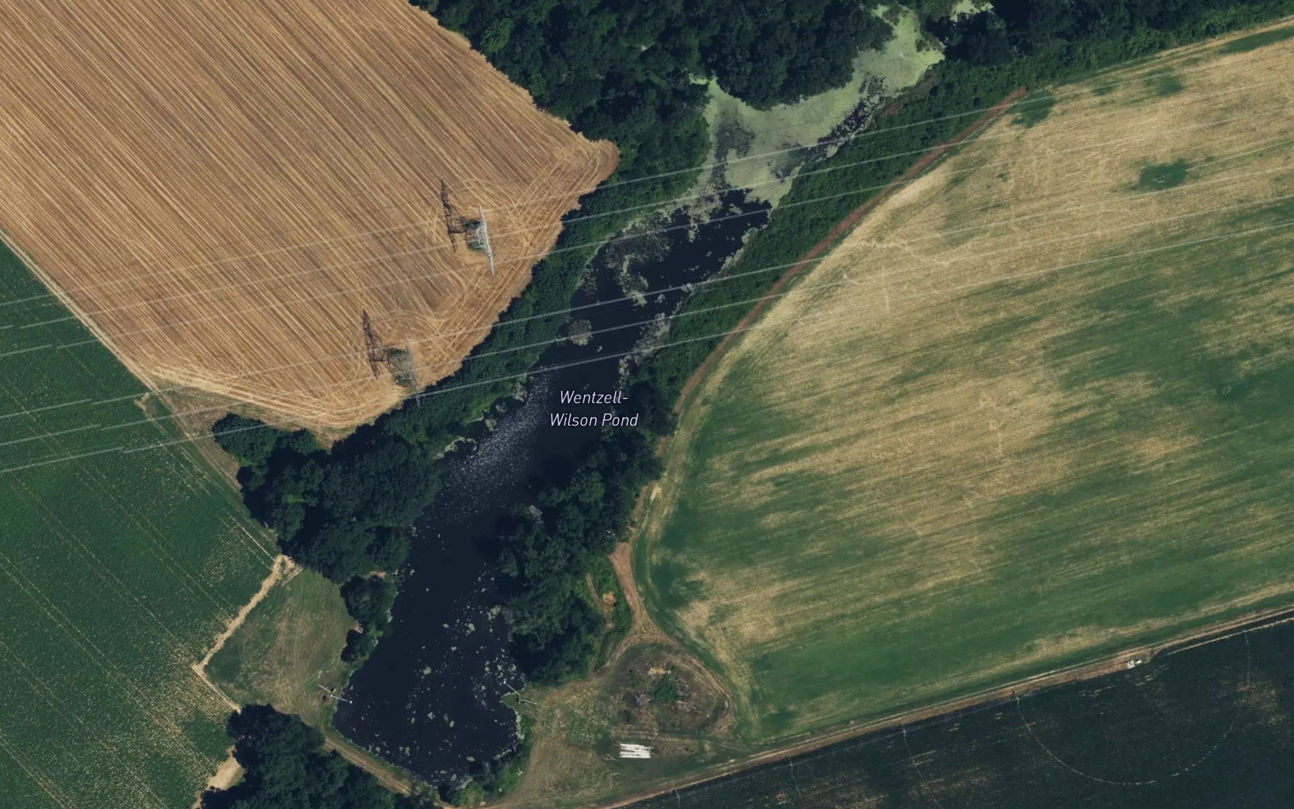 Wentzell-Wilson Pond