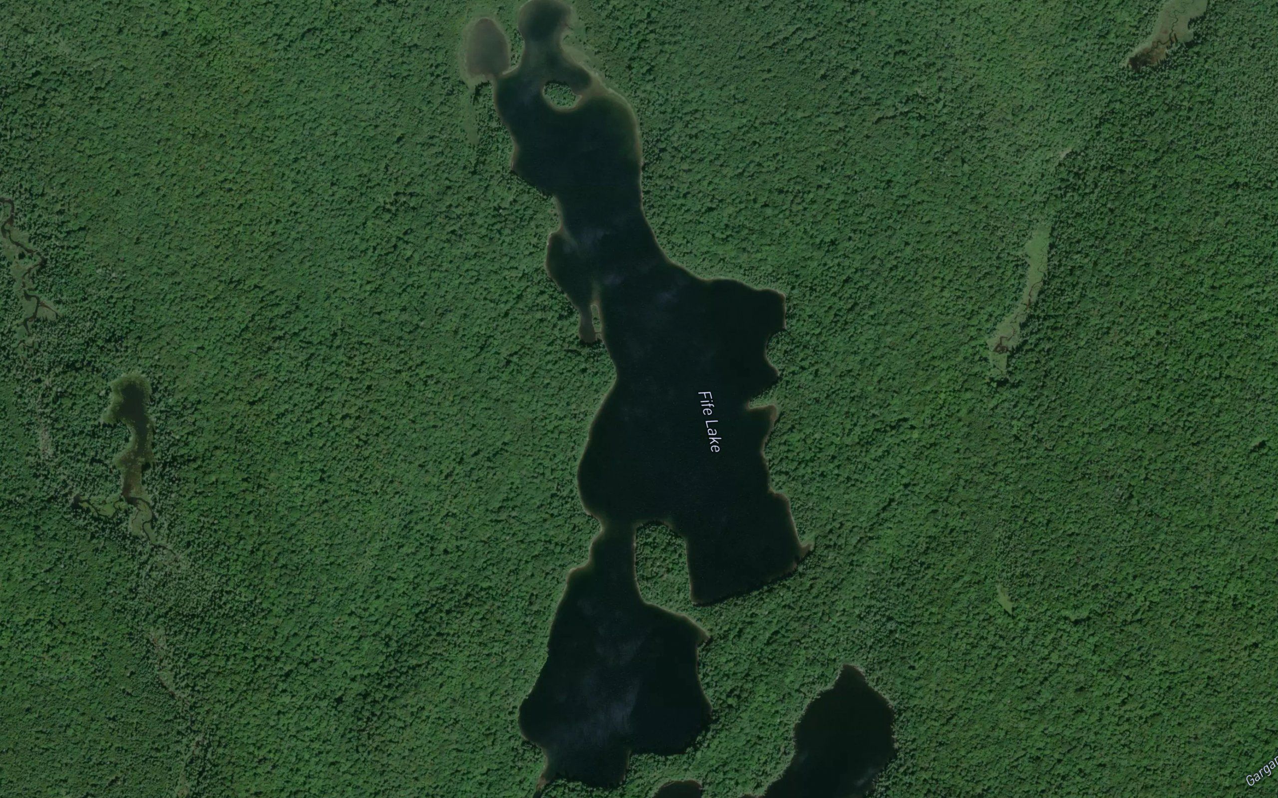 Fife Lake