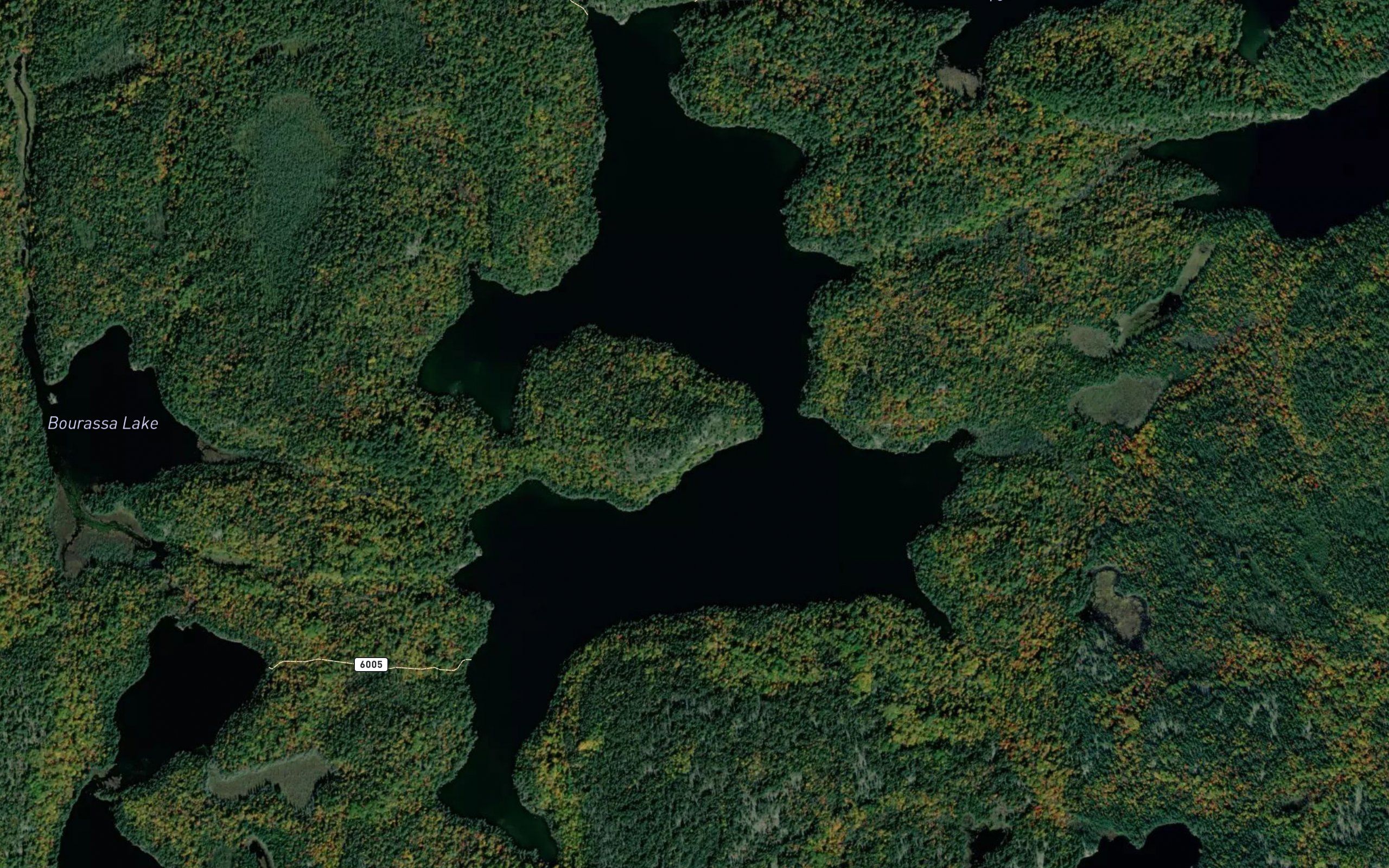 Gun Lake