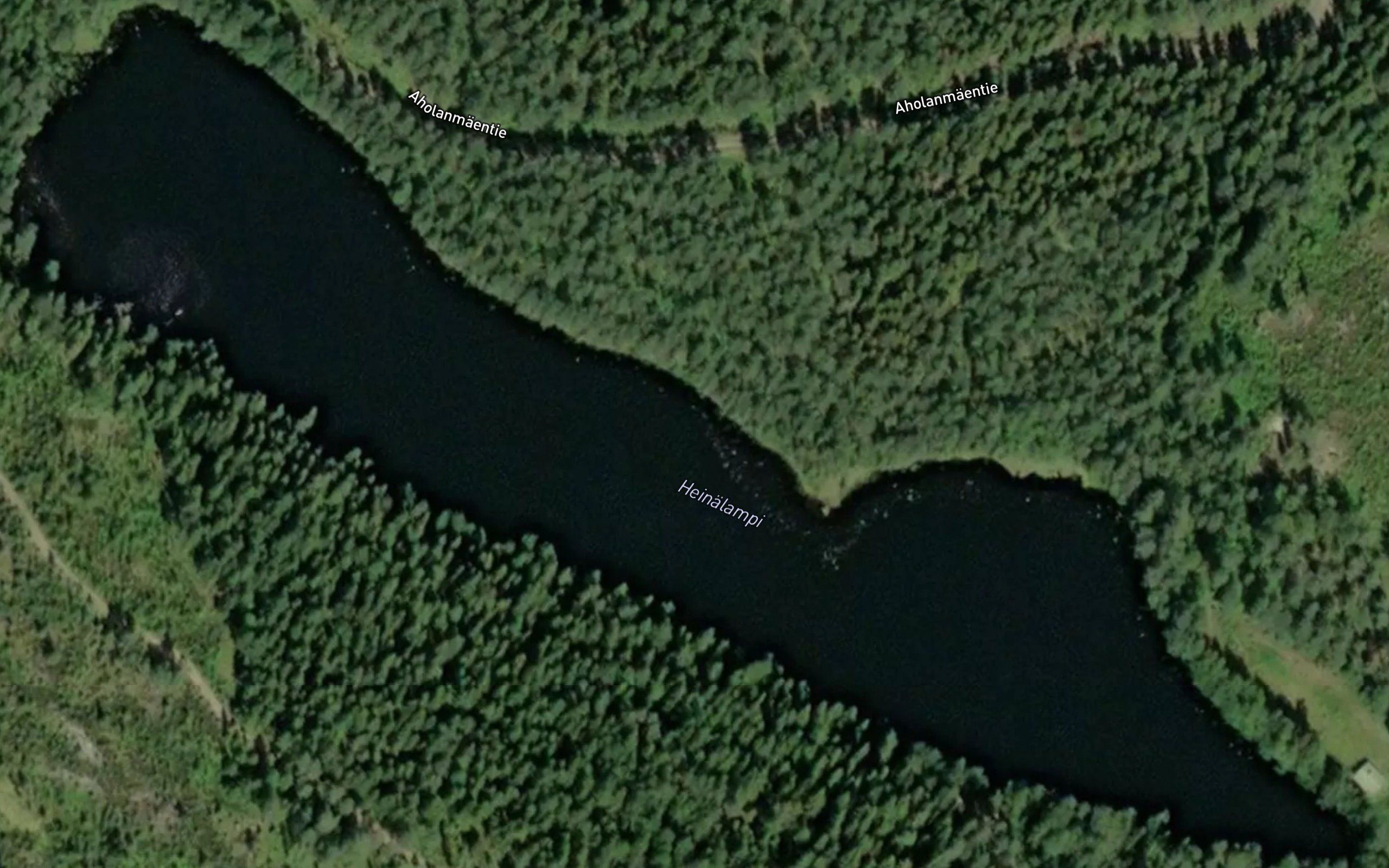 Heinalampi
