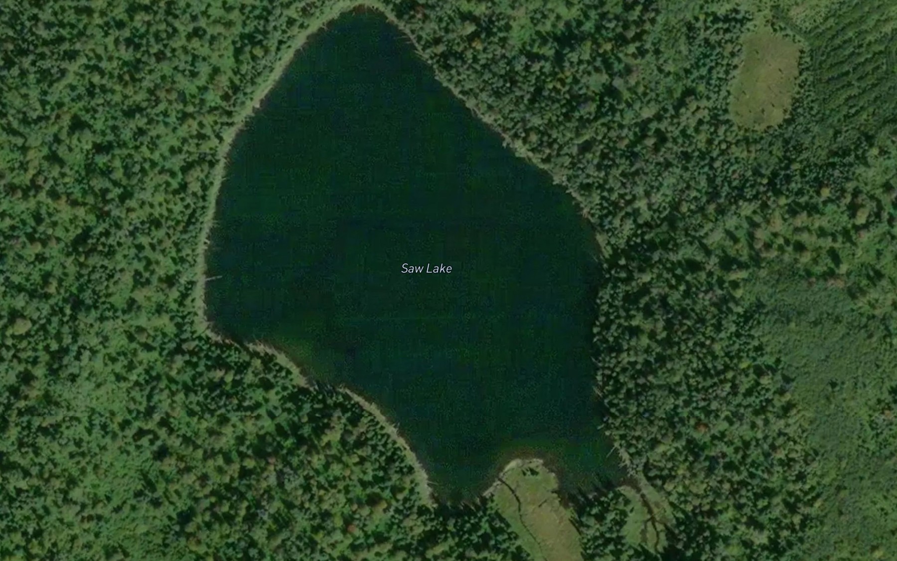 Satellite map of the Saw Lake