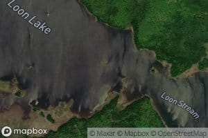 Loon Lake