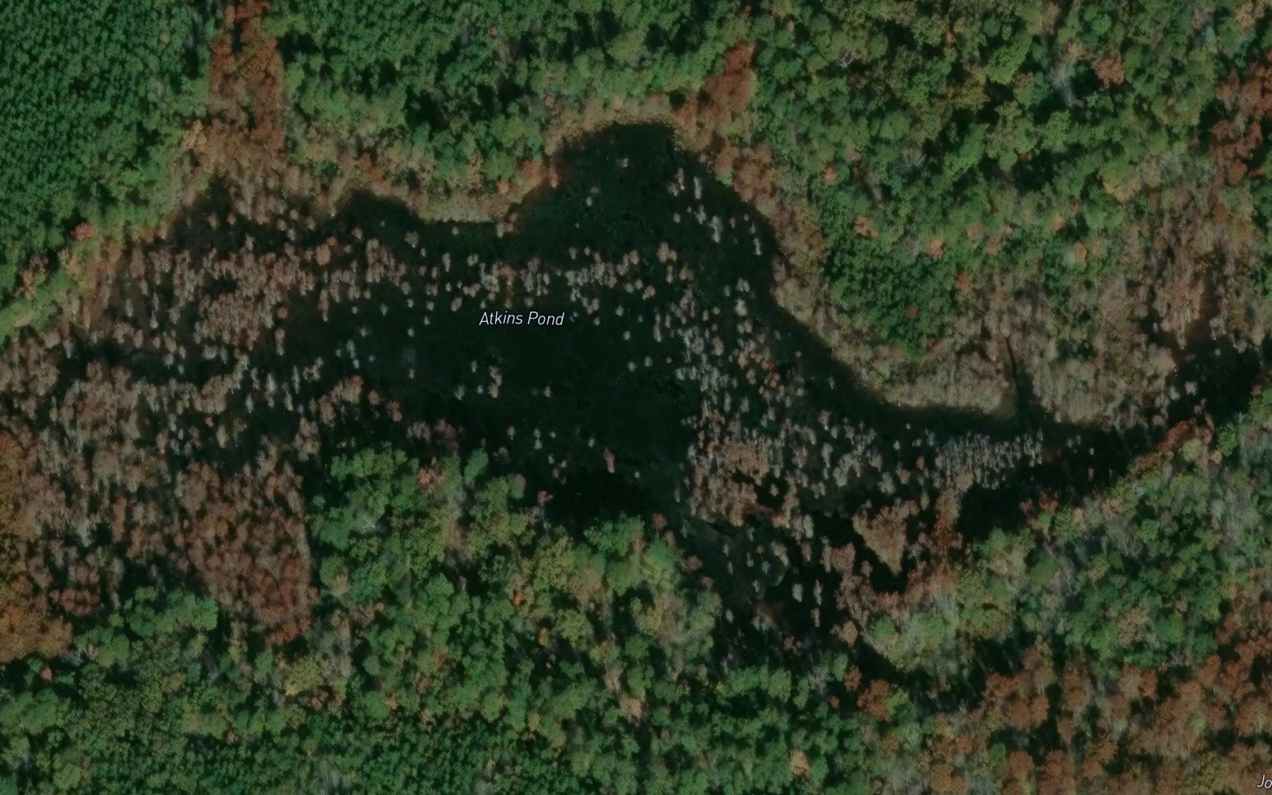 Atkins Pond