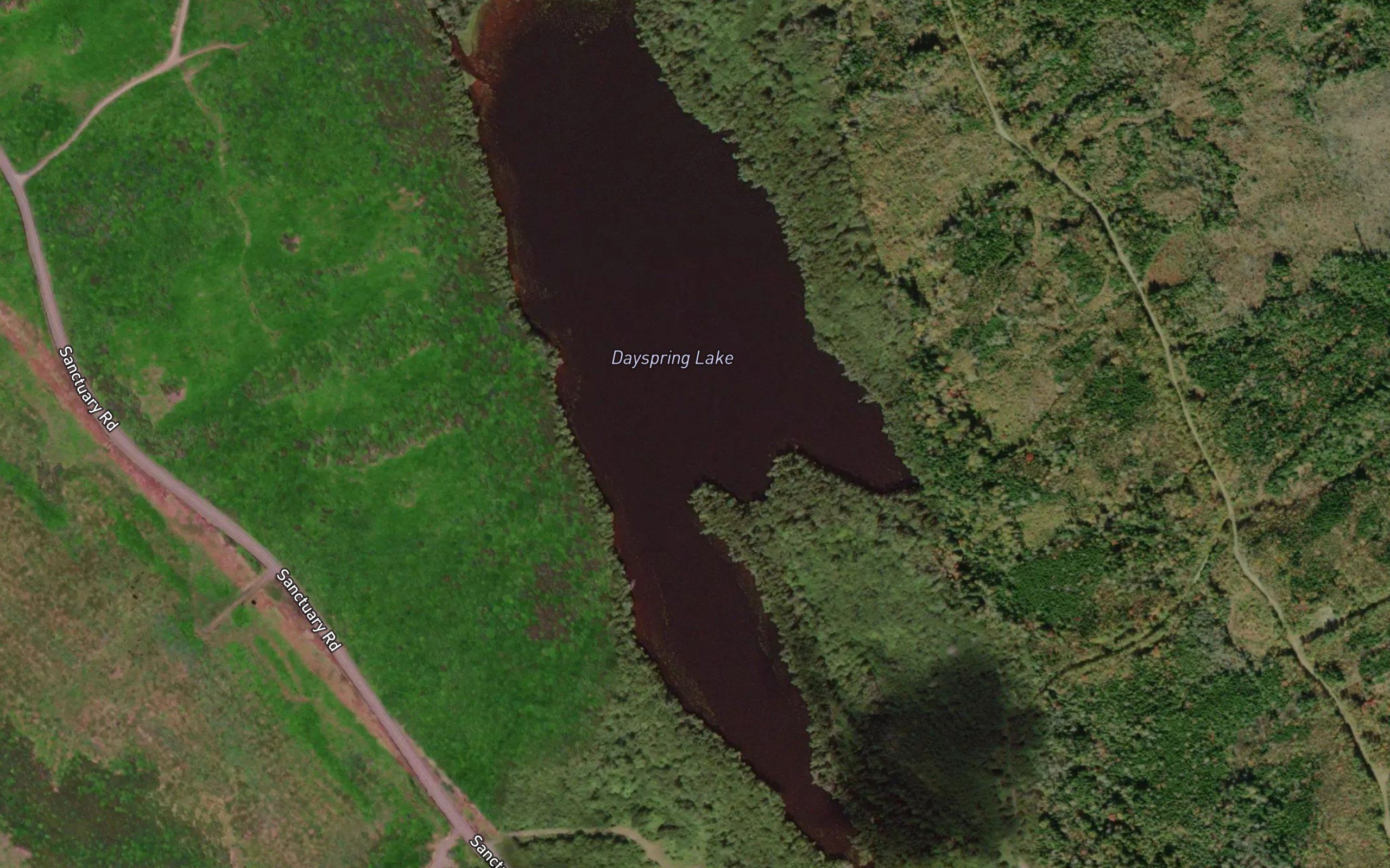 Dayspring Lake