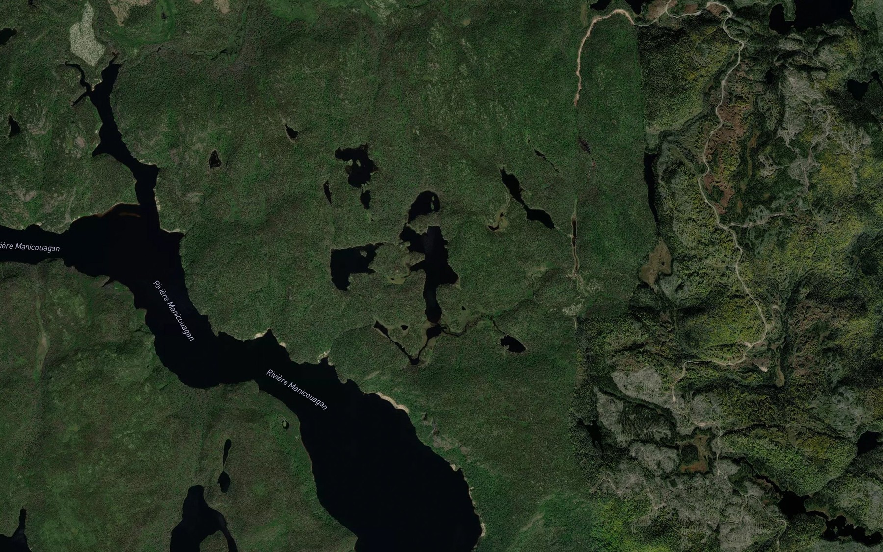 Satellite map of the Lac de la Salamandre