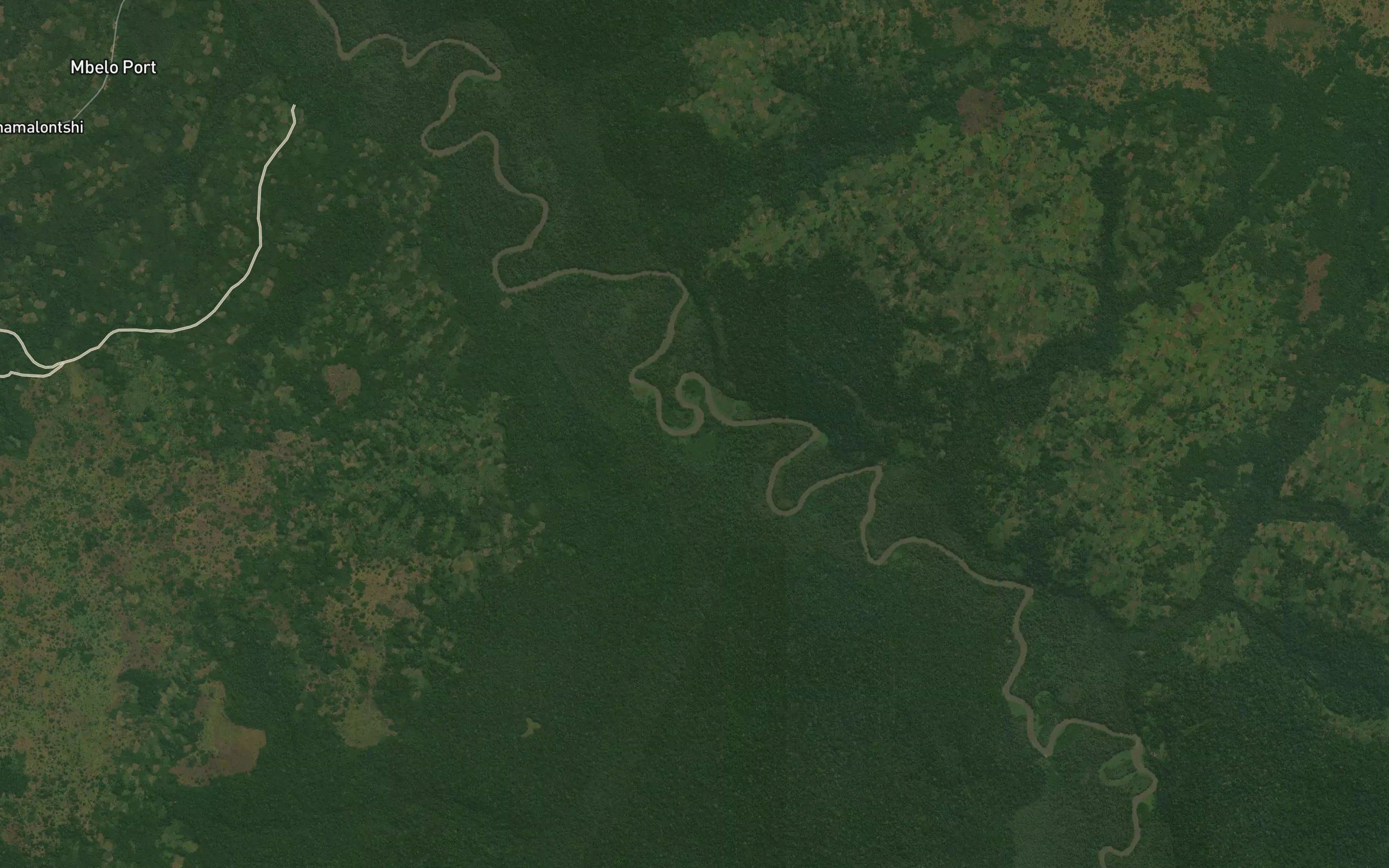 Dinongo