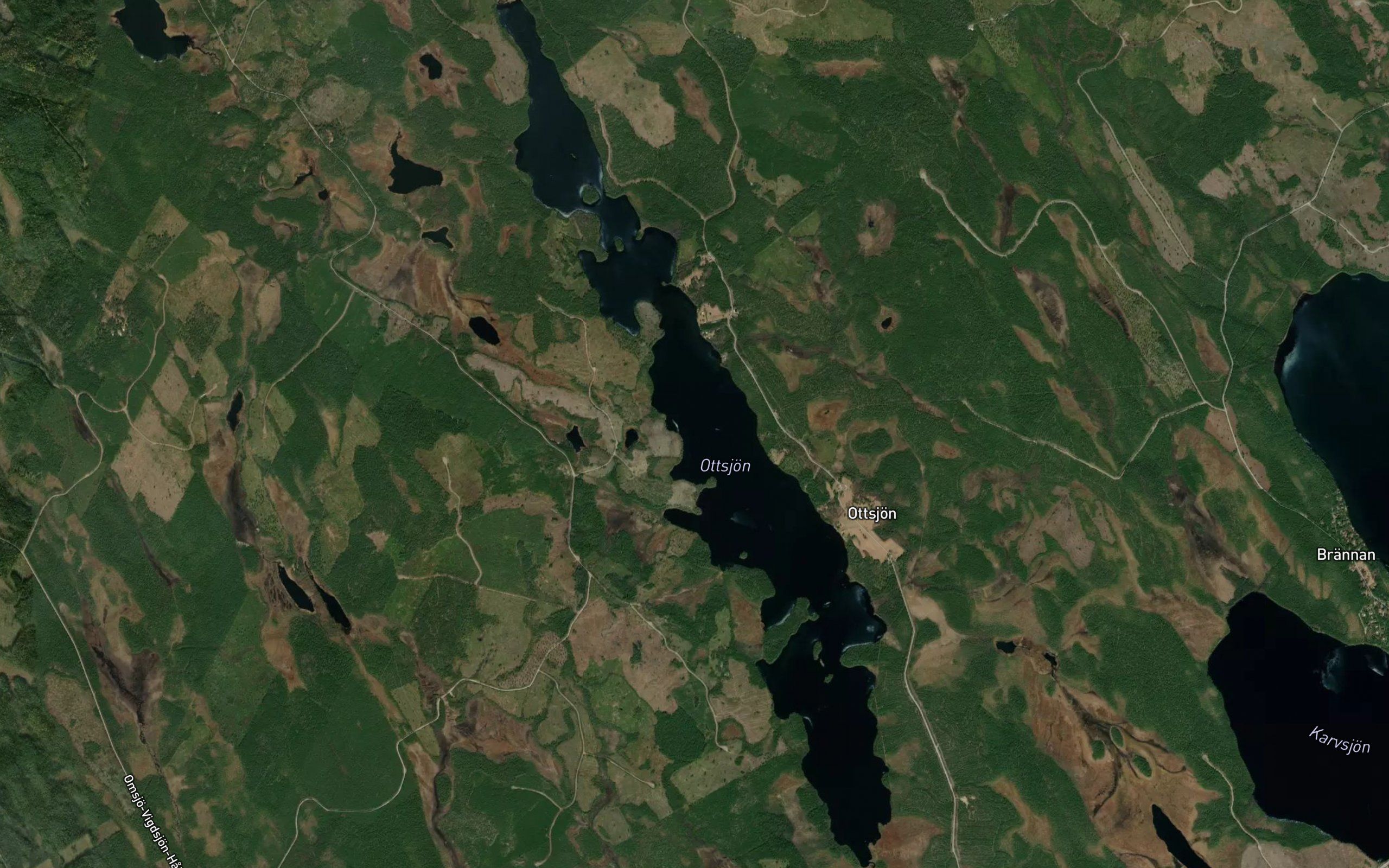 Ottsjon