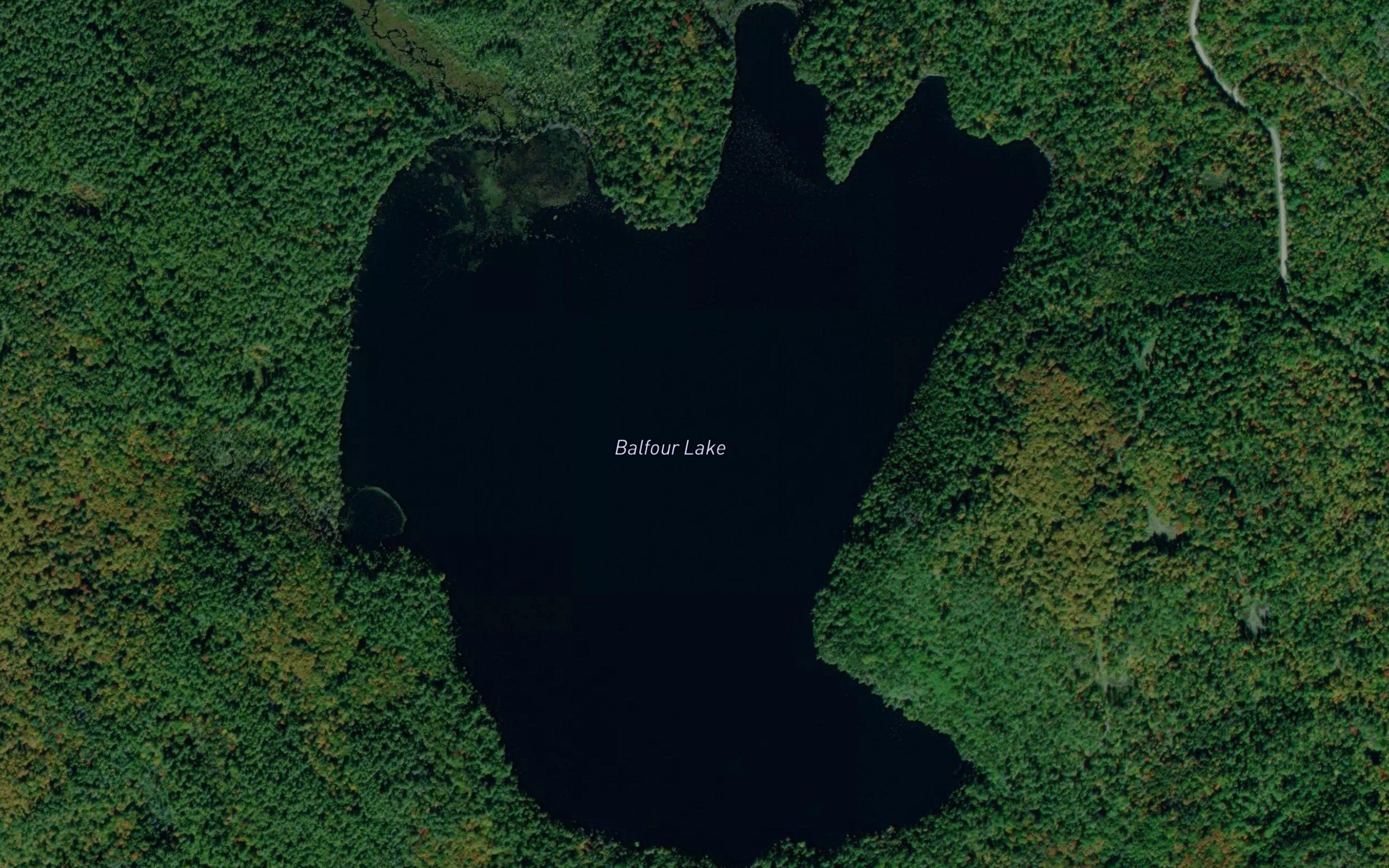 Balfour Lake