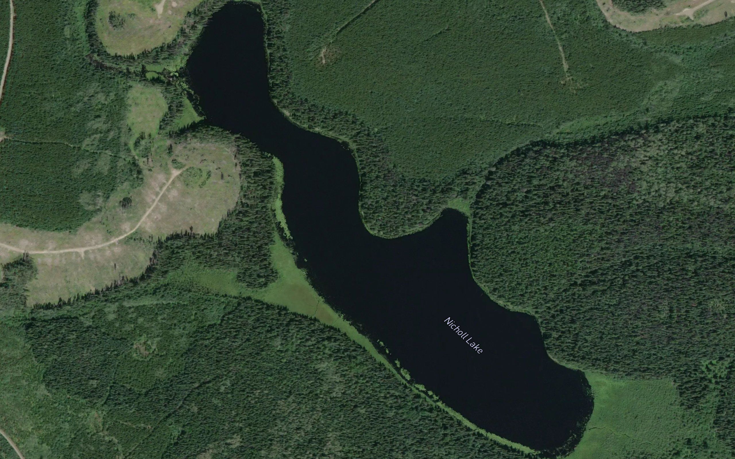 Nicholl Lake