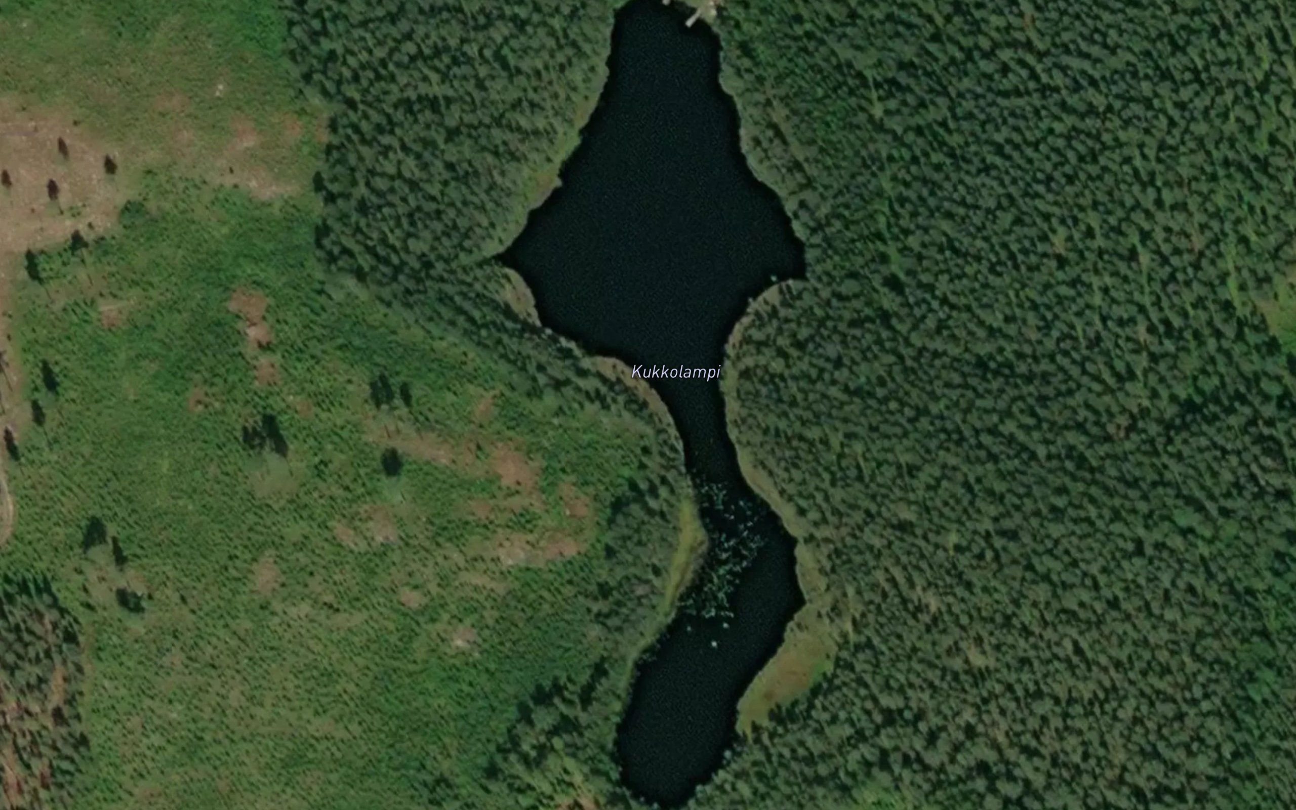 Kukkolampi