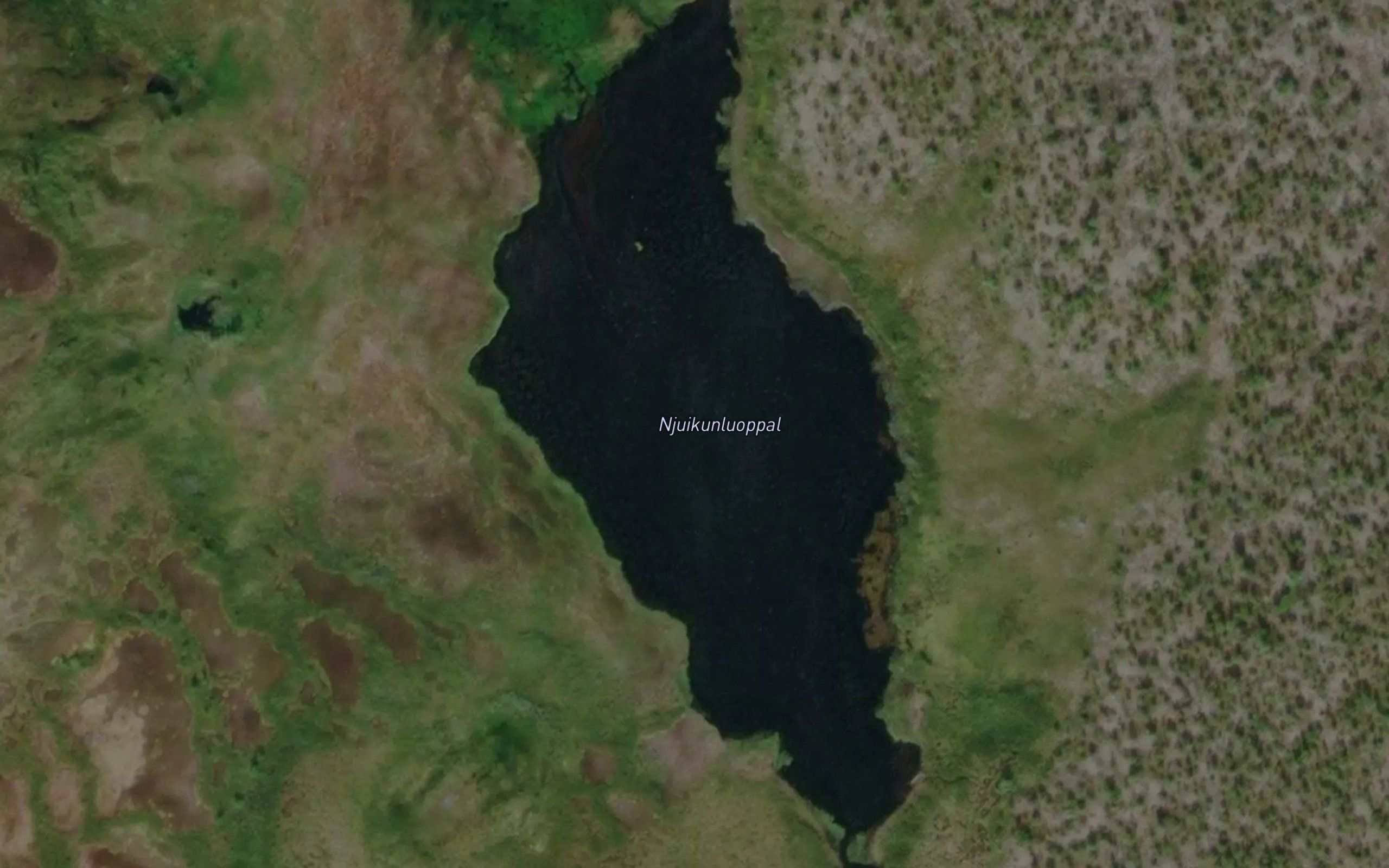 Njuikunluoppal