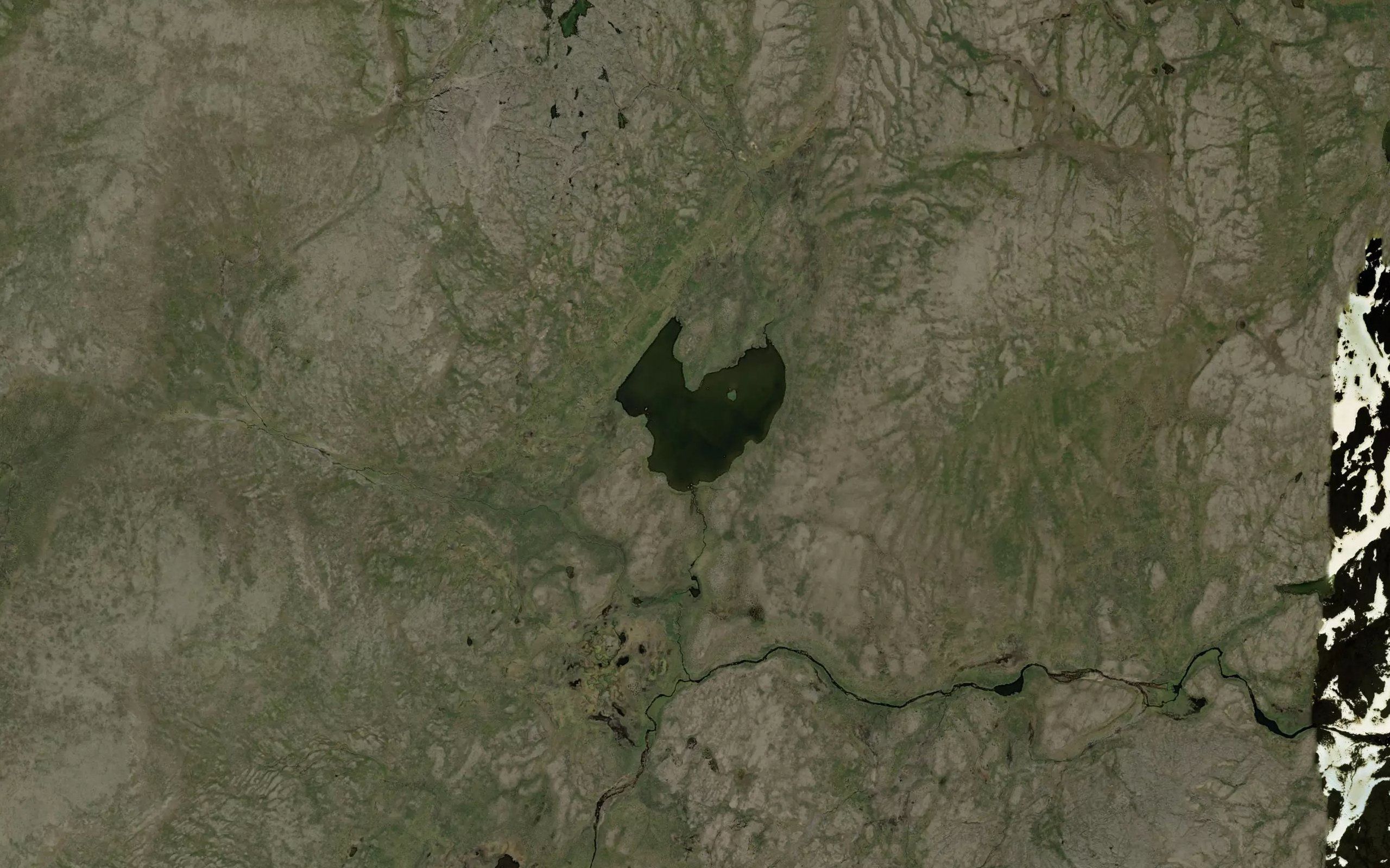 Birkejavri