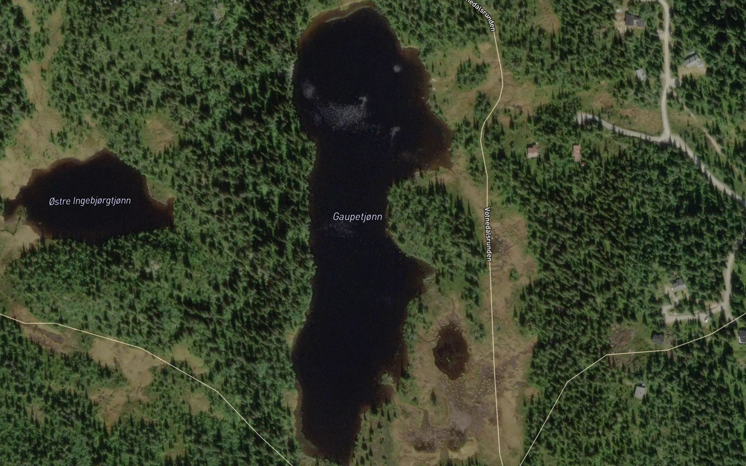 Gaupetjorn