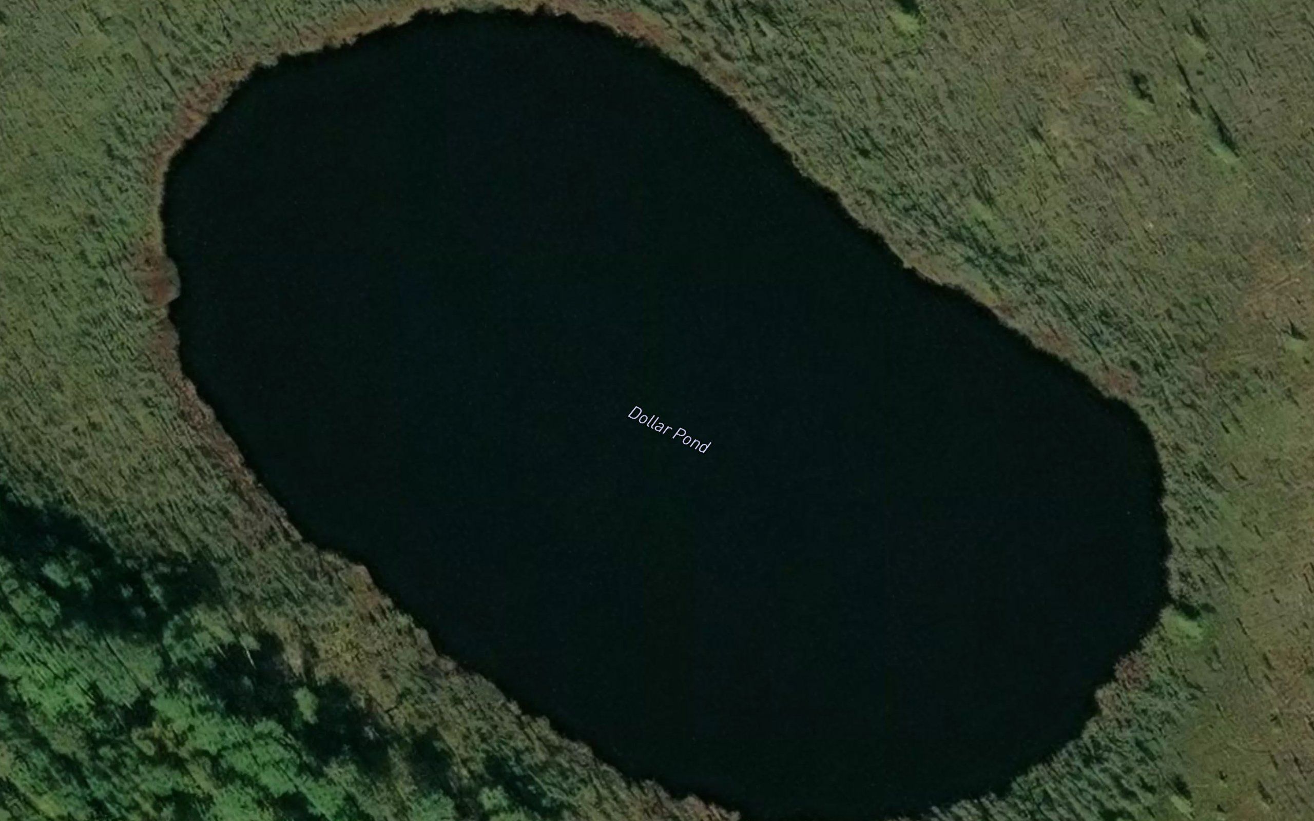 Dollar Pond
