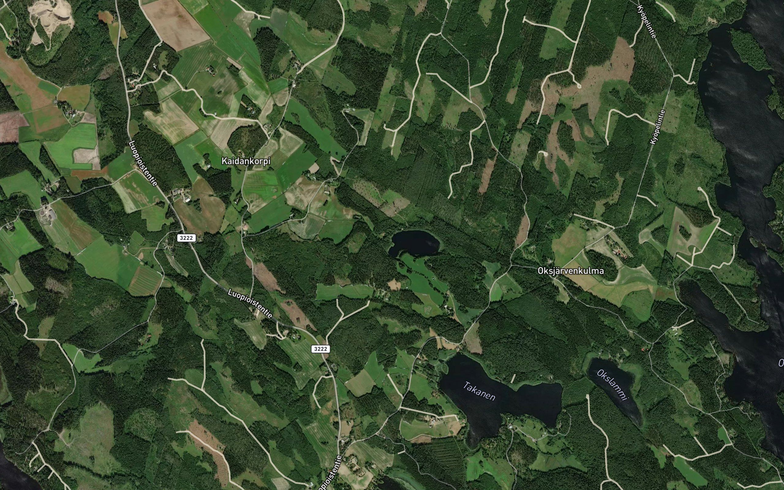 Rytisenoja