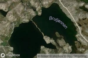 Brutjornan