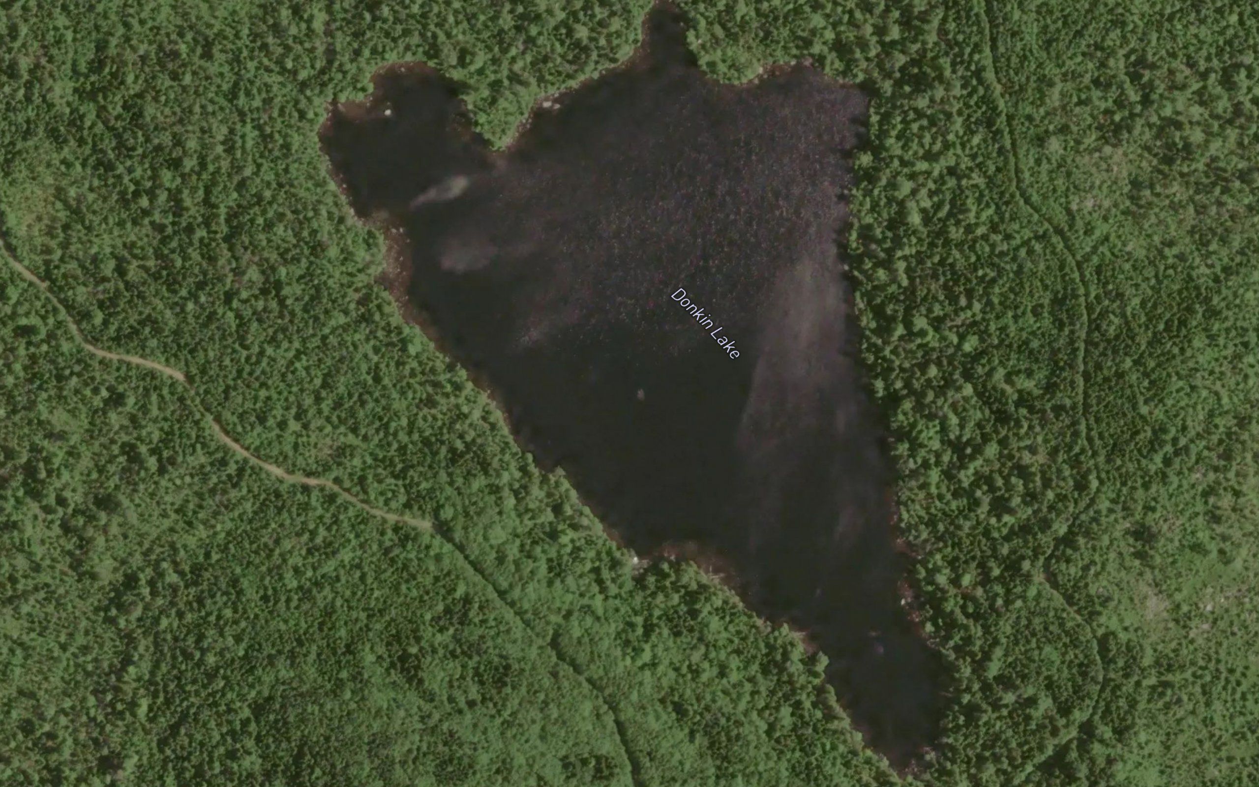 Donkin Lake