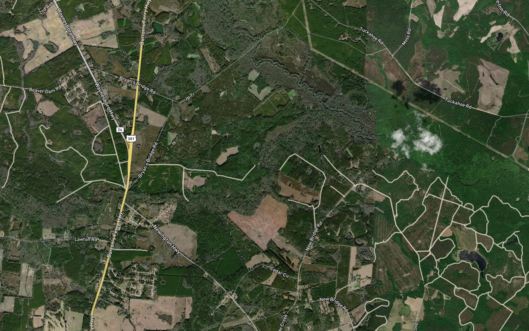 Satellite map of the Blue Springs