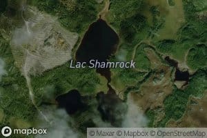 Lac Shamrock