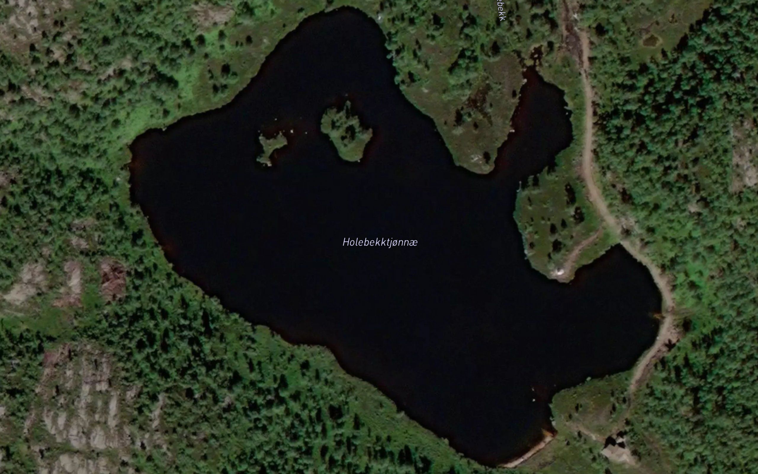 Holebekktjorni