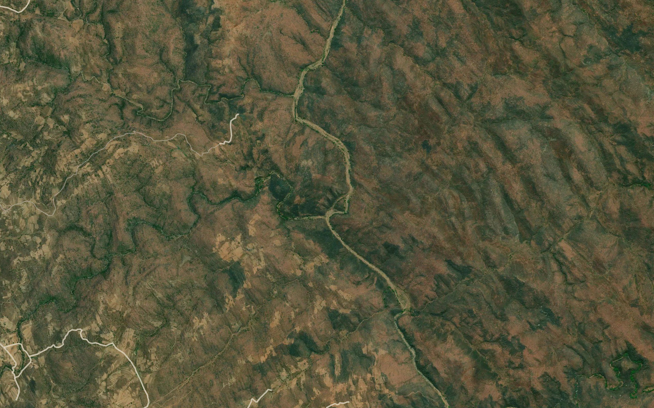 Mwami