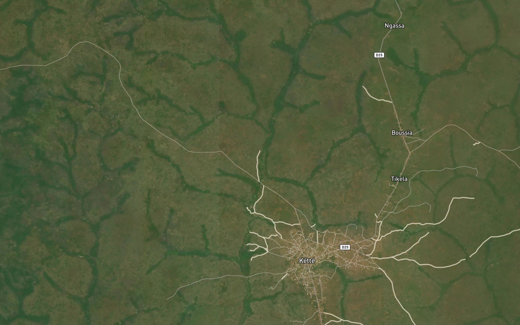 Satellite map of the Gomkoula