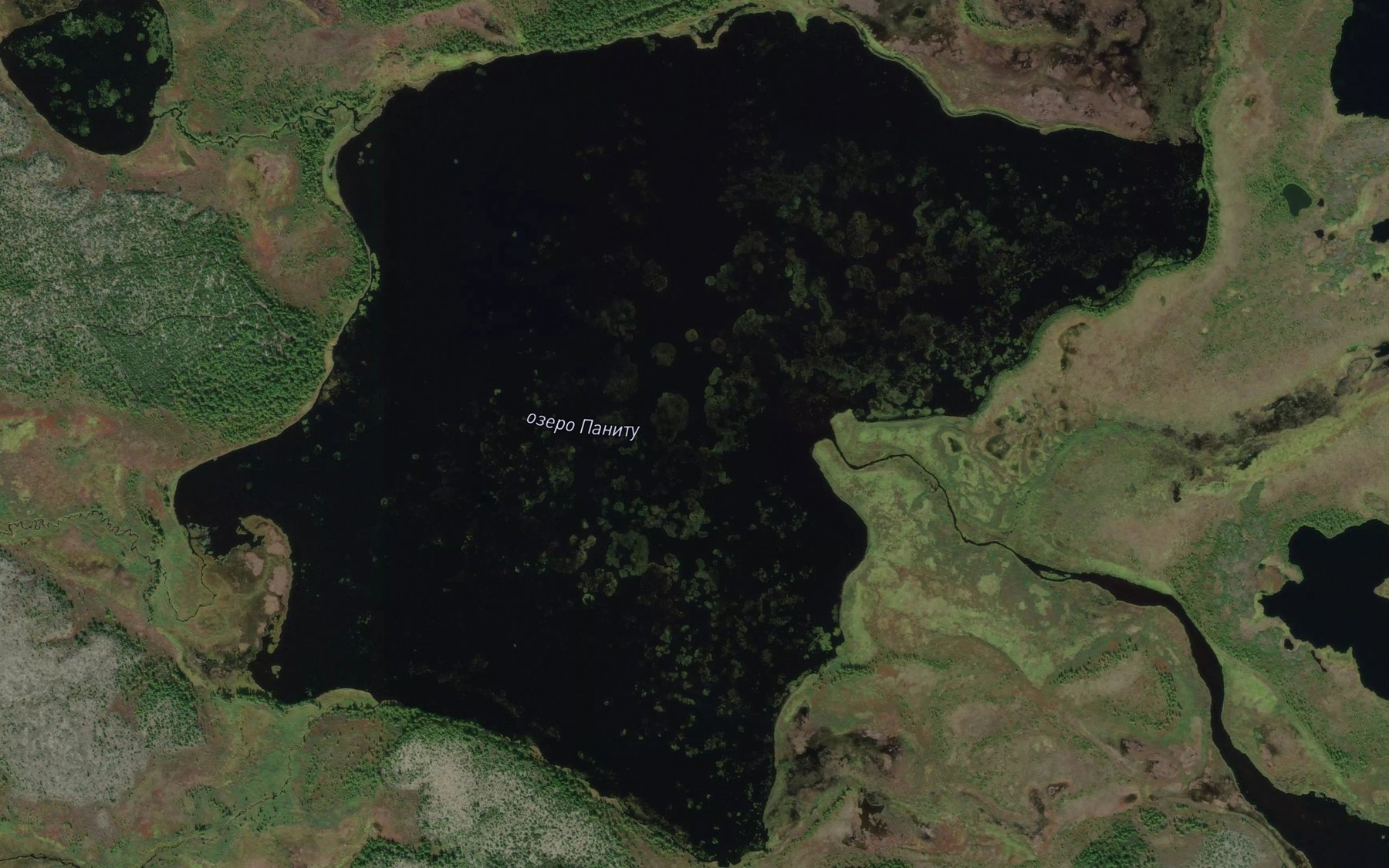Satellite map of the Ozero Panitu