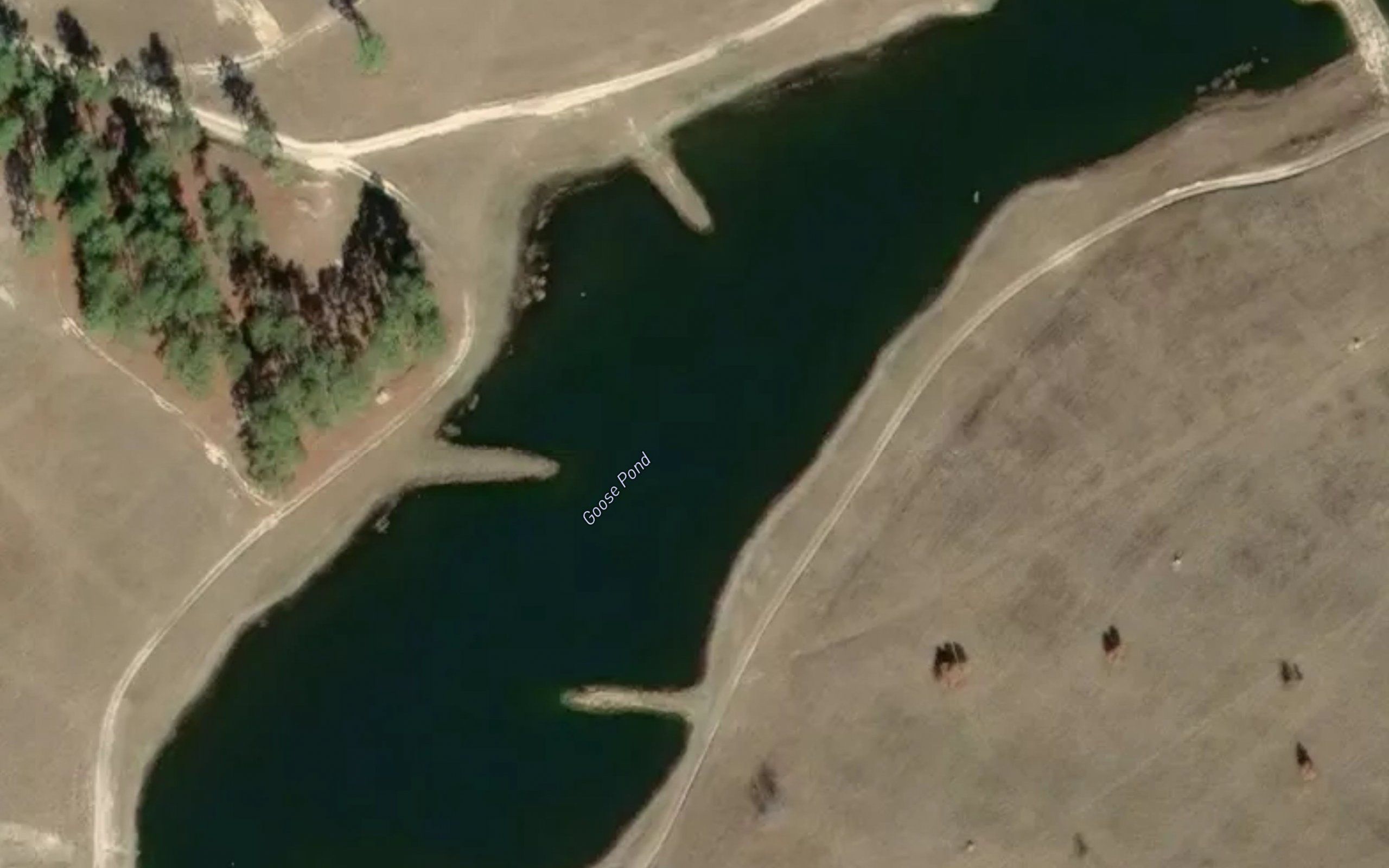 Goose Pond