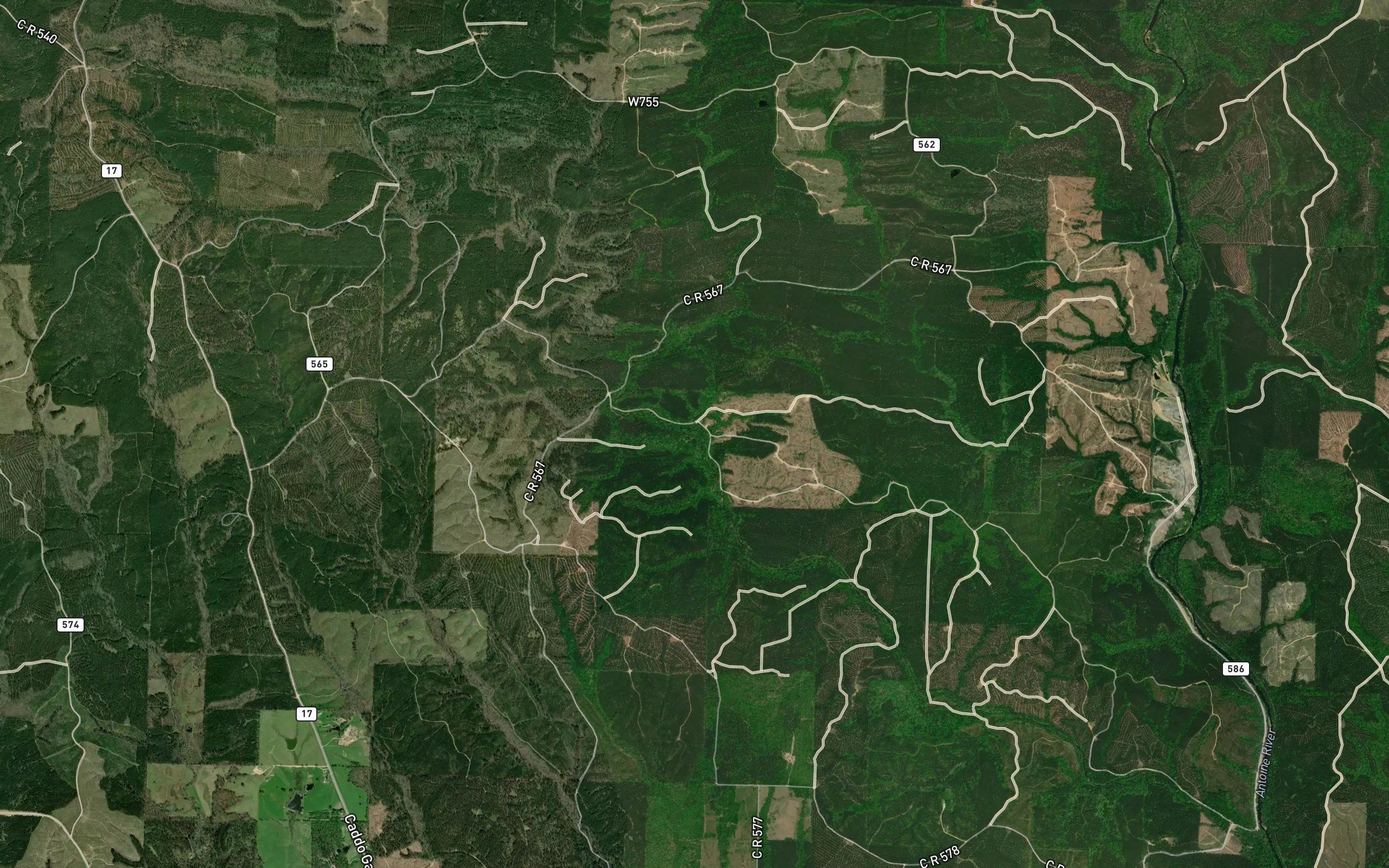 Coon Creek