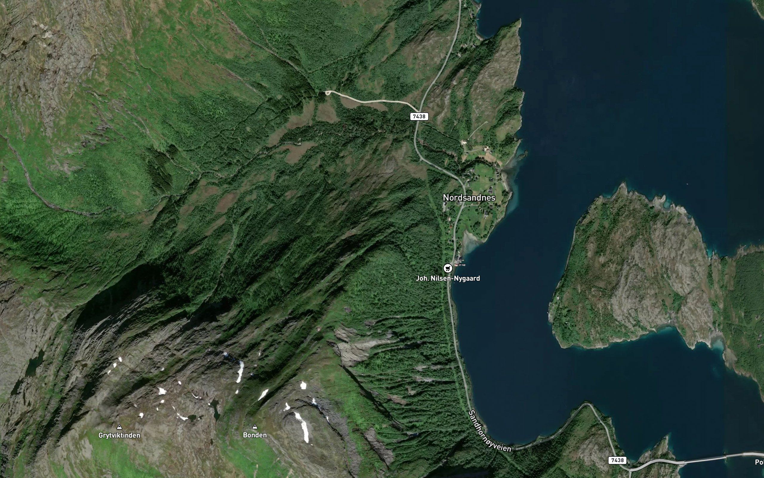 Oselva