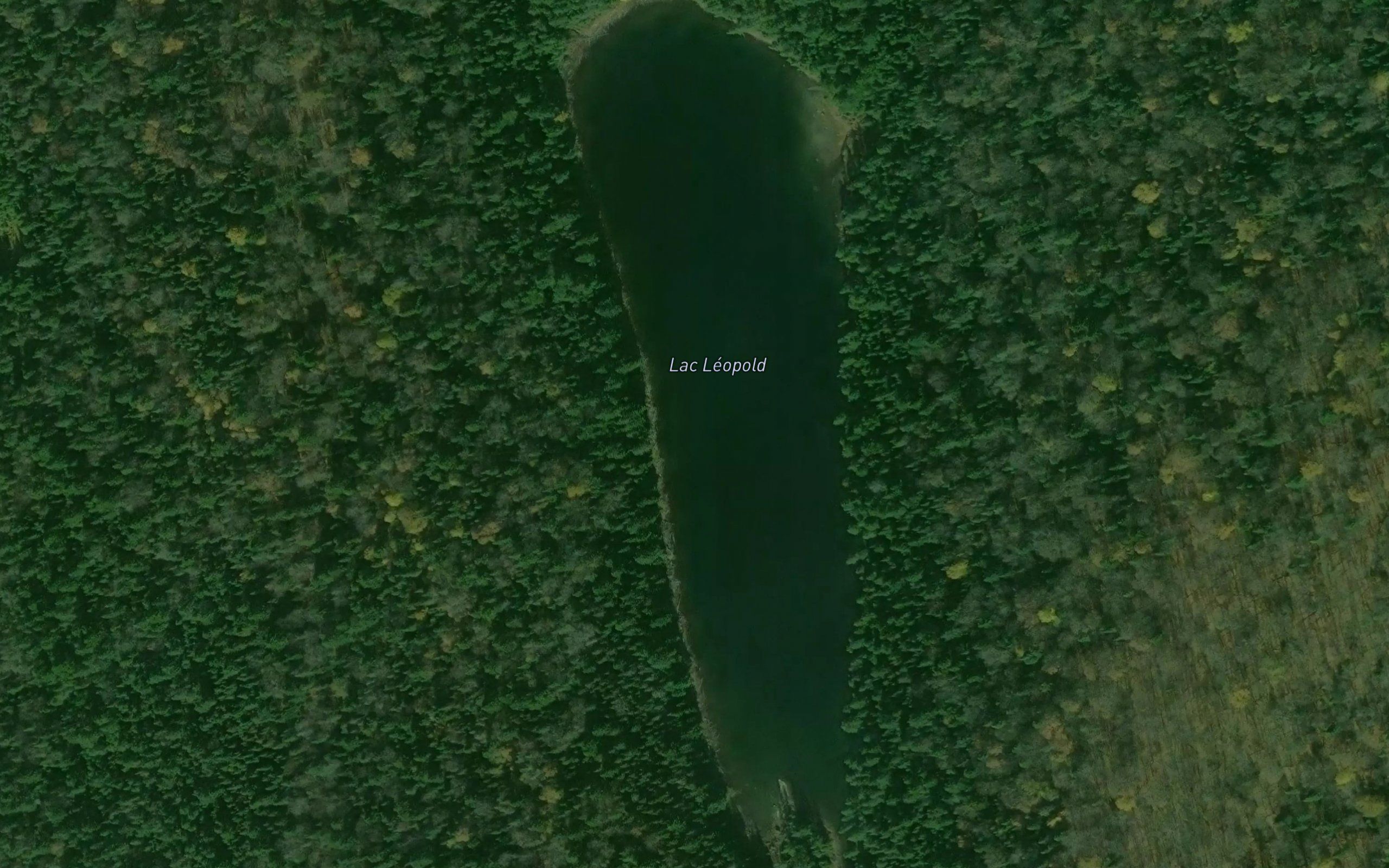 Lac Leopold