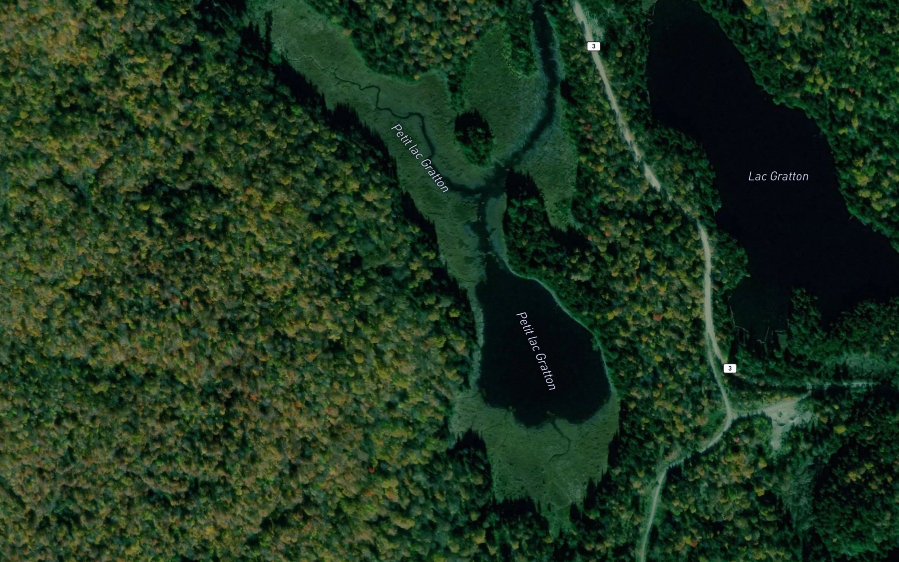 Satellite map of the Petit lac Gratton