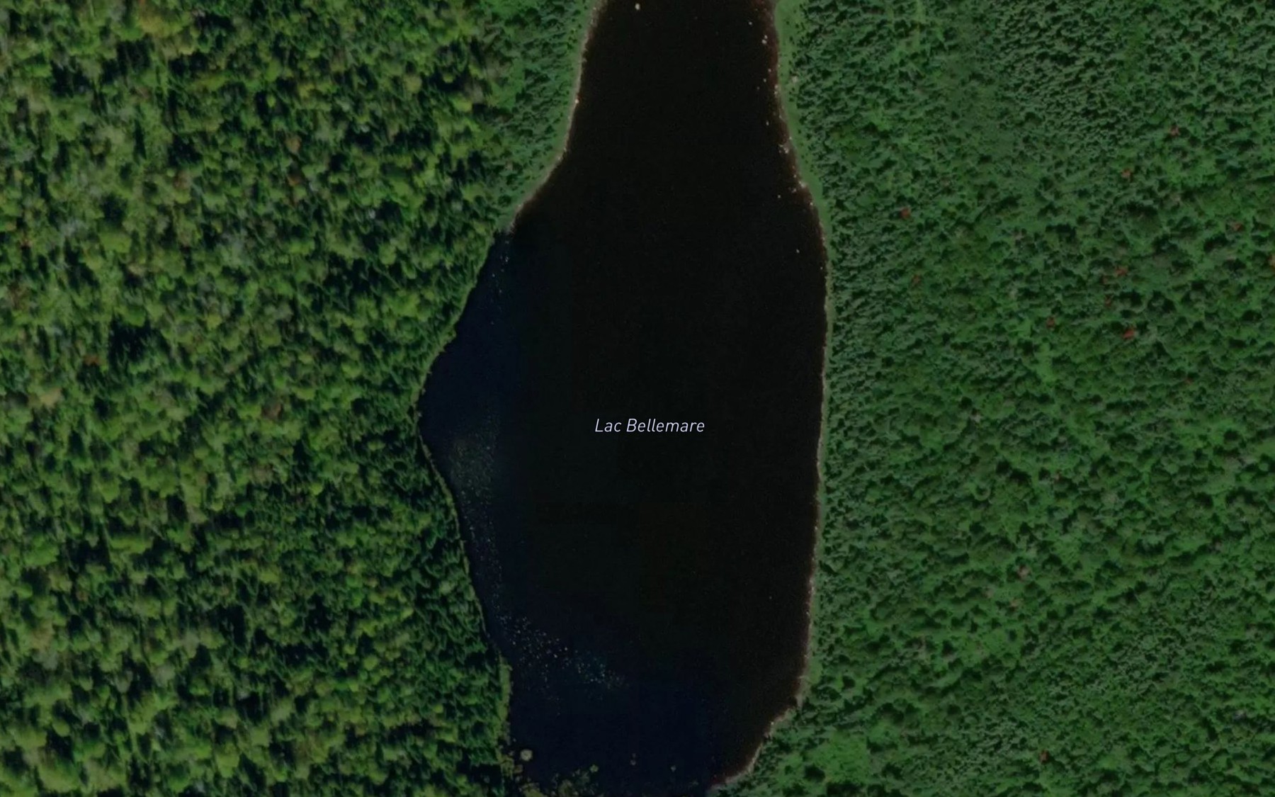 Satellite map of the Lac Bellemare