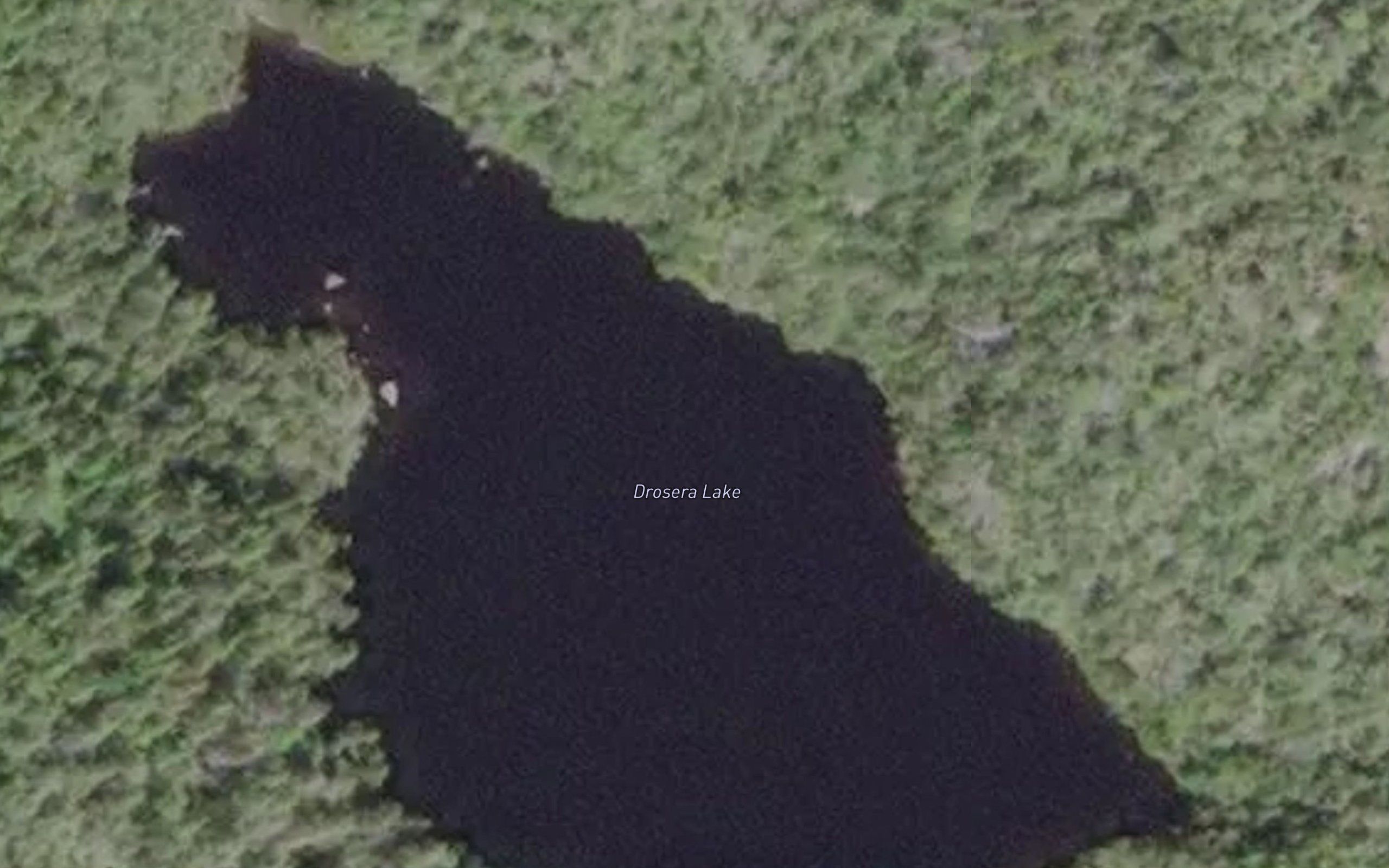 Drosera Lake