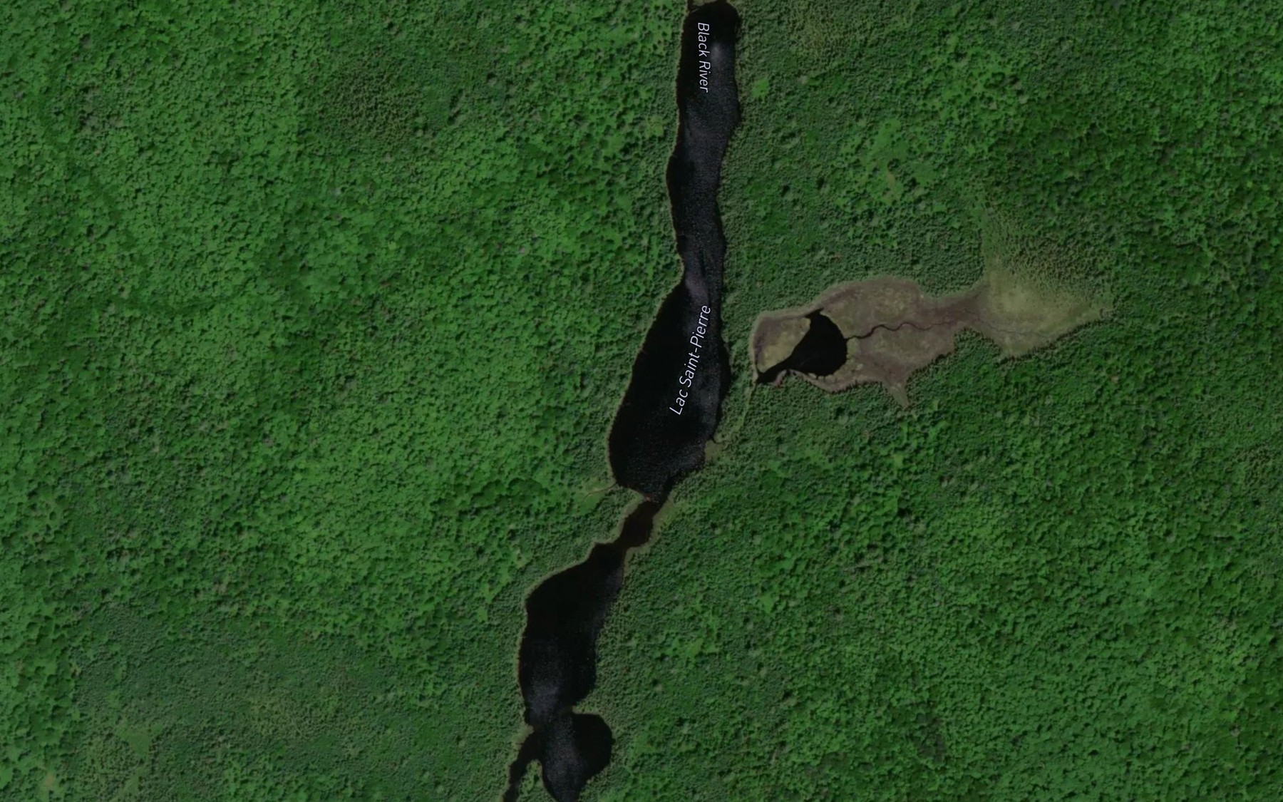 Satellite map of the Lac Saint-Pierre