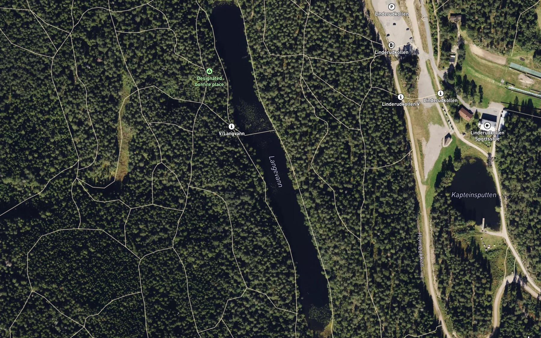 Satellite map of the Langevatn