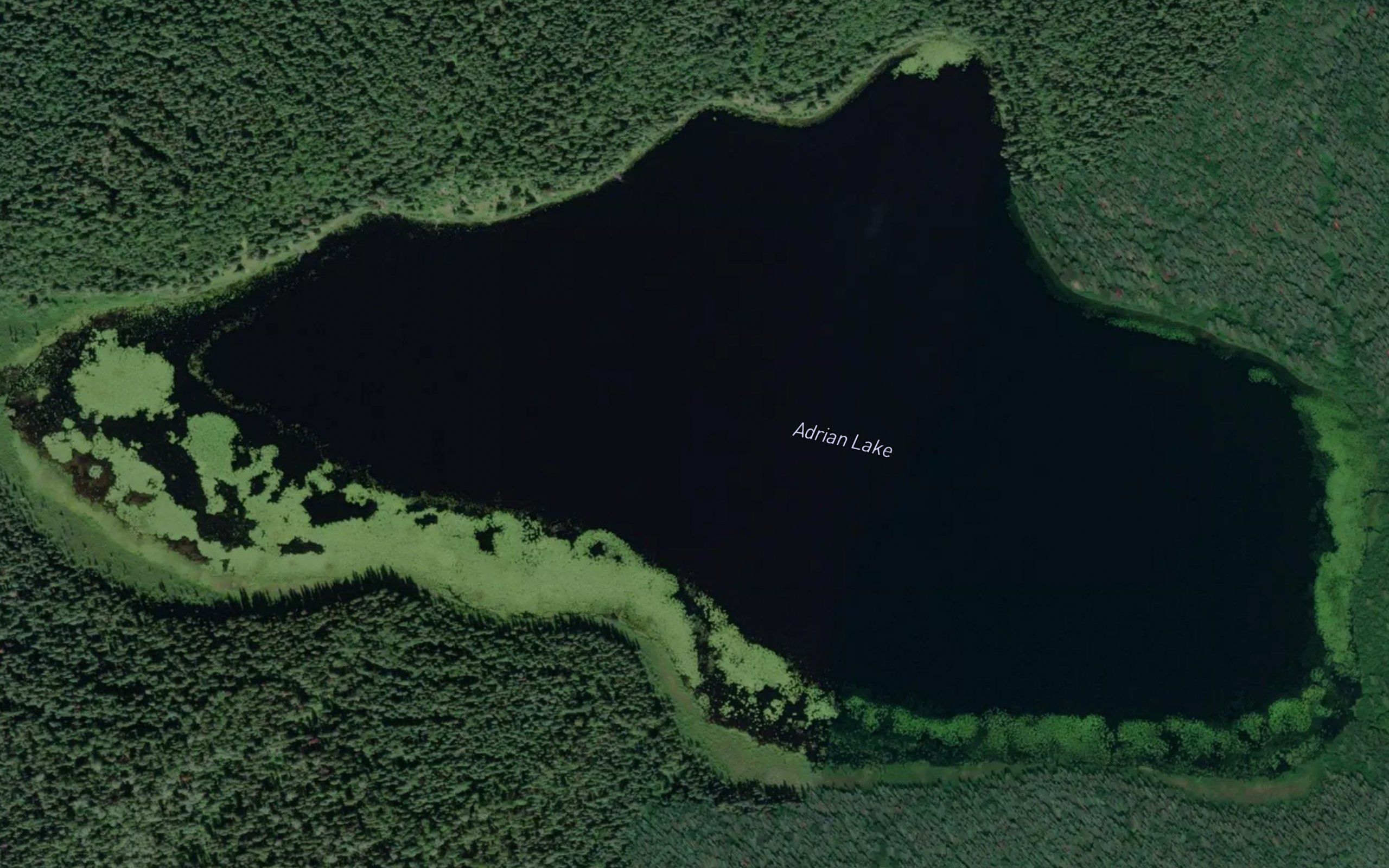 Adrian Lake