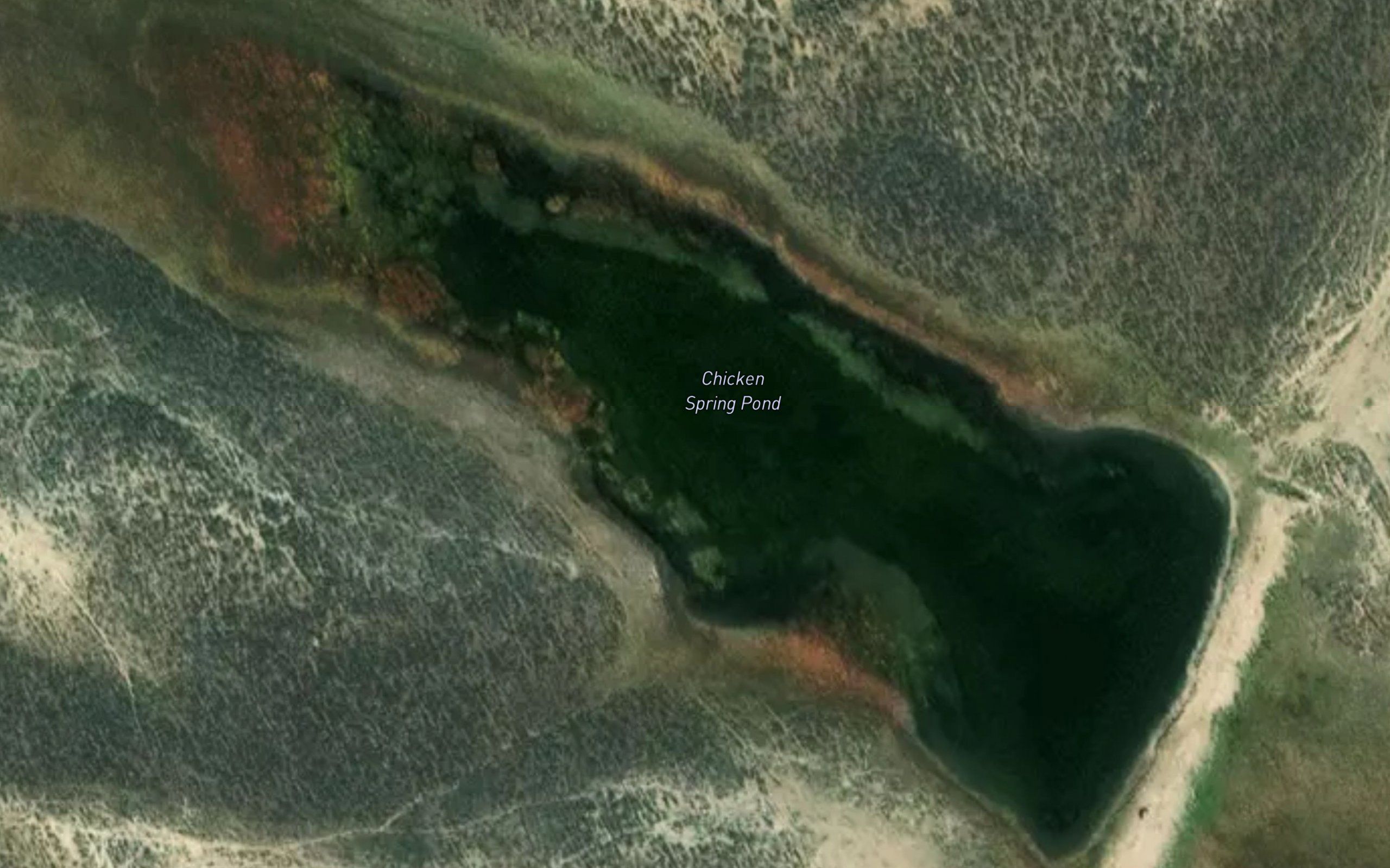 Chicken Spring Pond