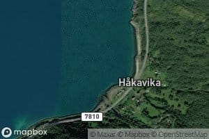Hakavika