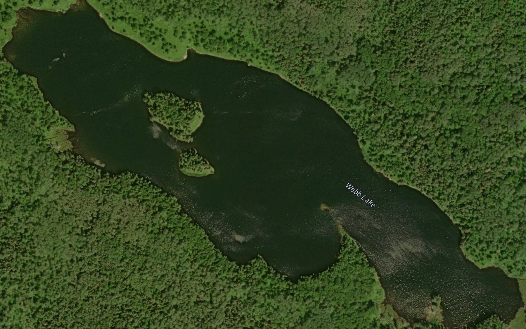 Satellite map of the Webb Lake