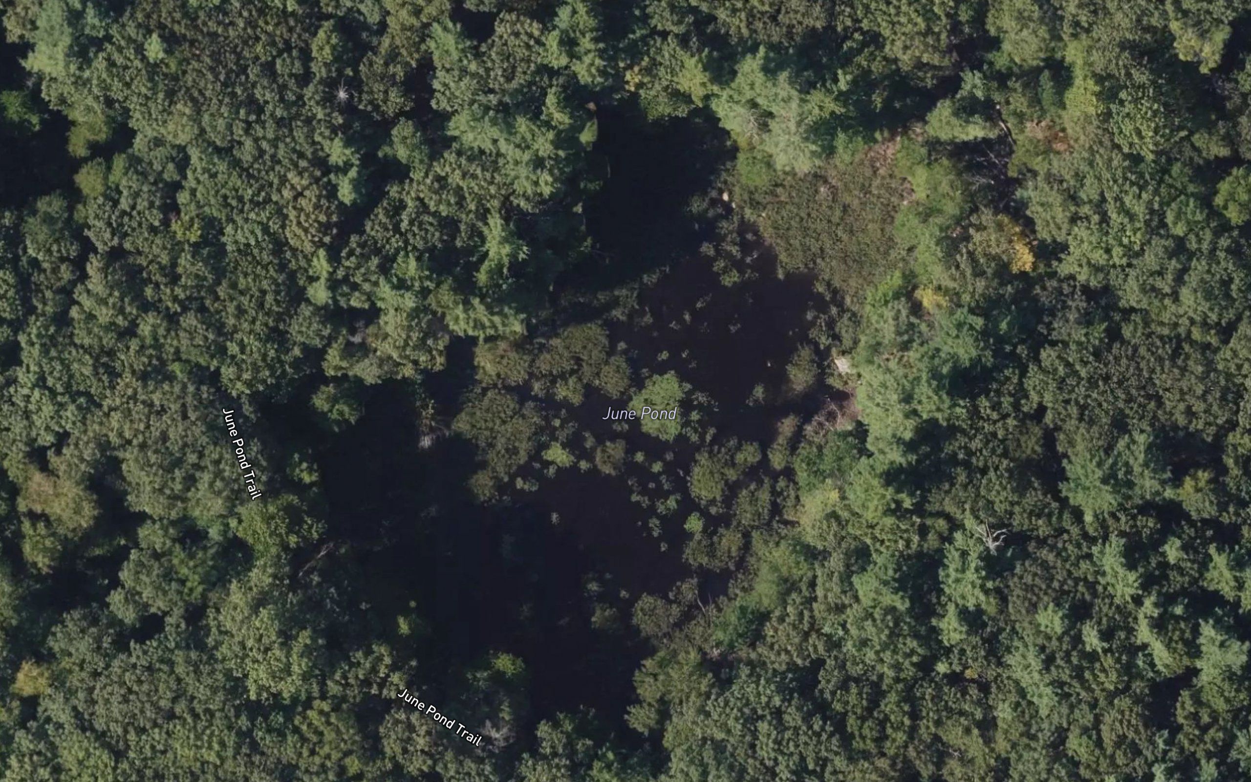 June Pond