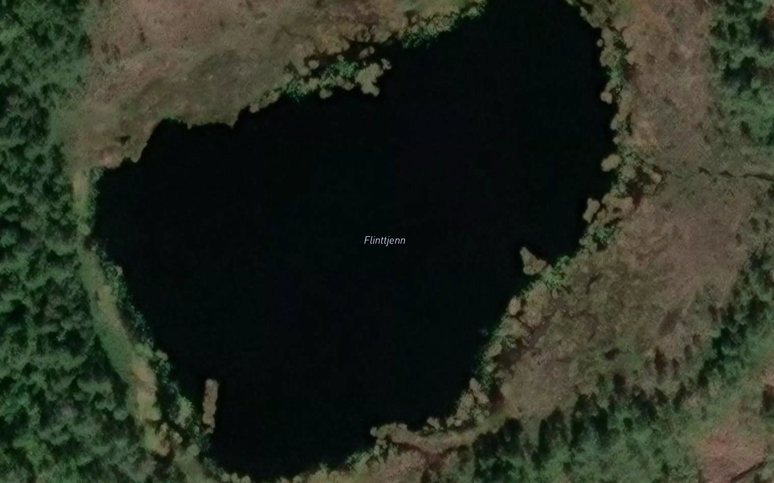 Flinttjern