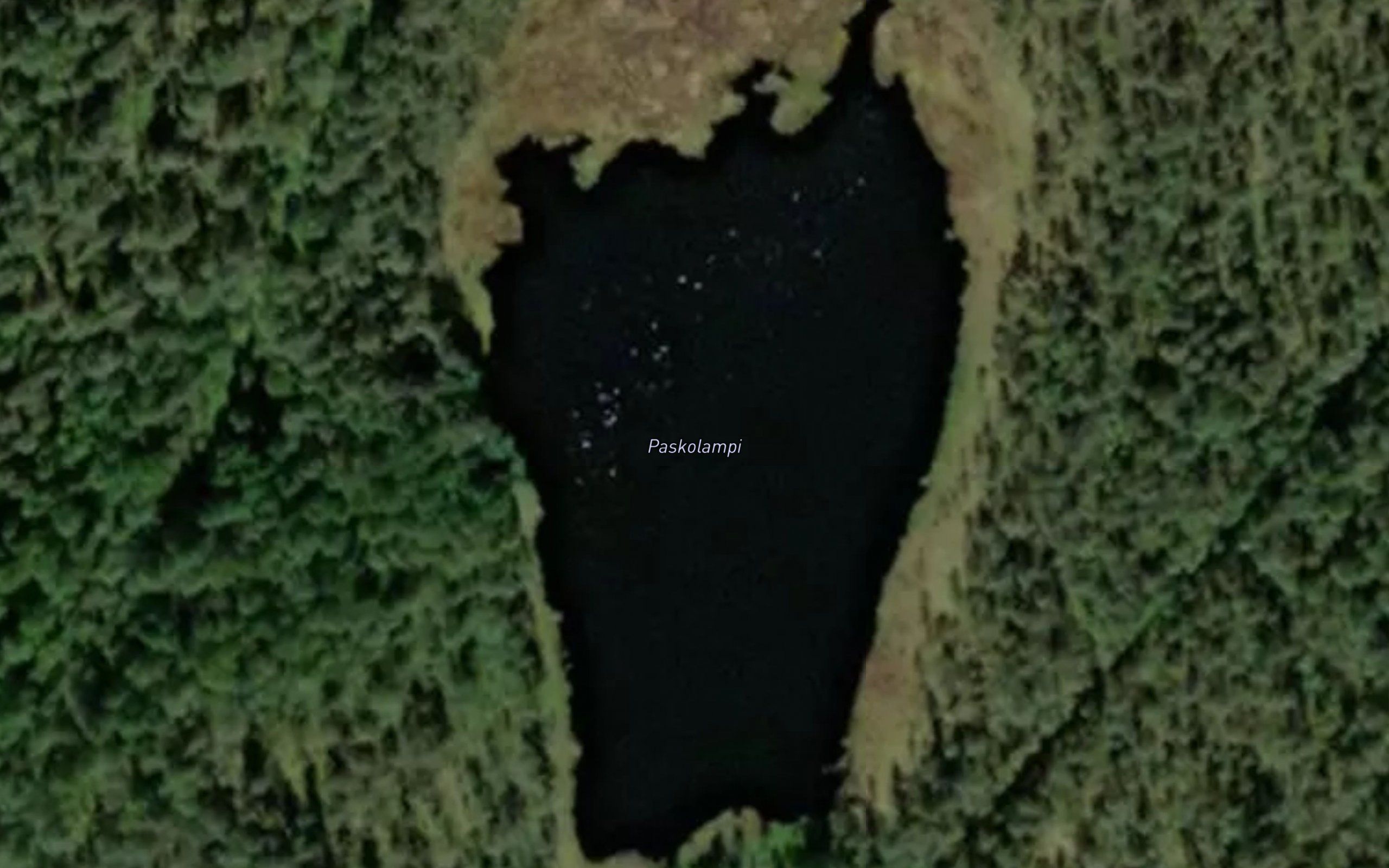 Paskolampi