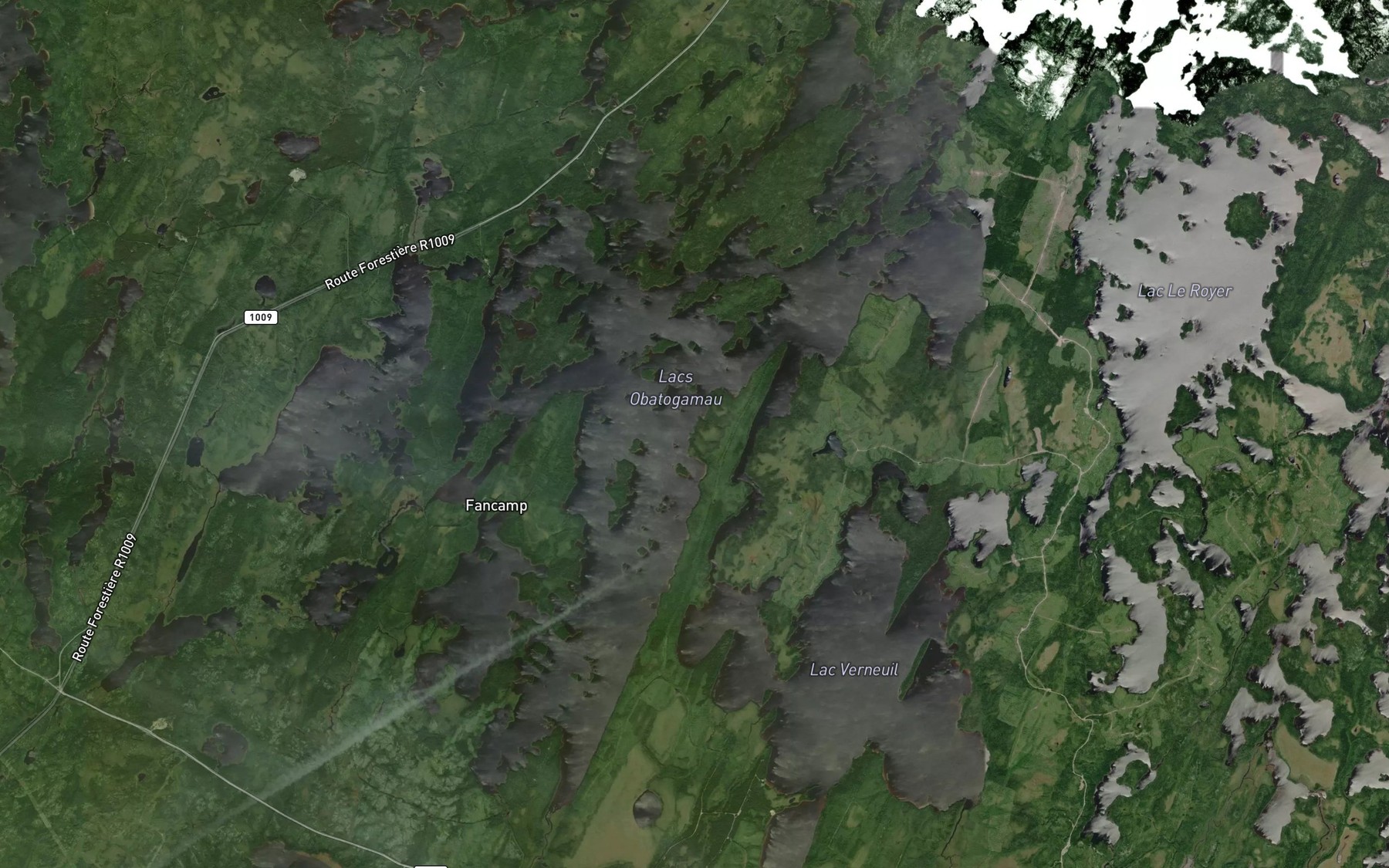 Satellite map of the Baie Anderson